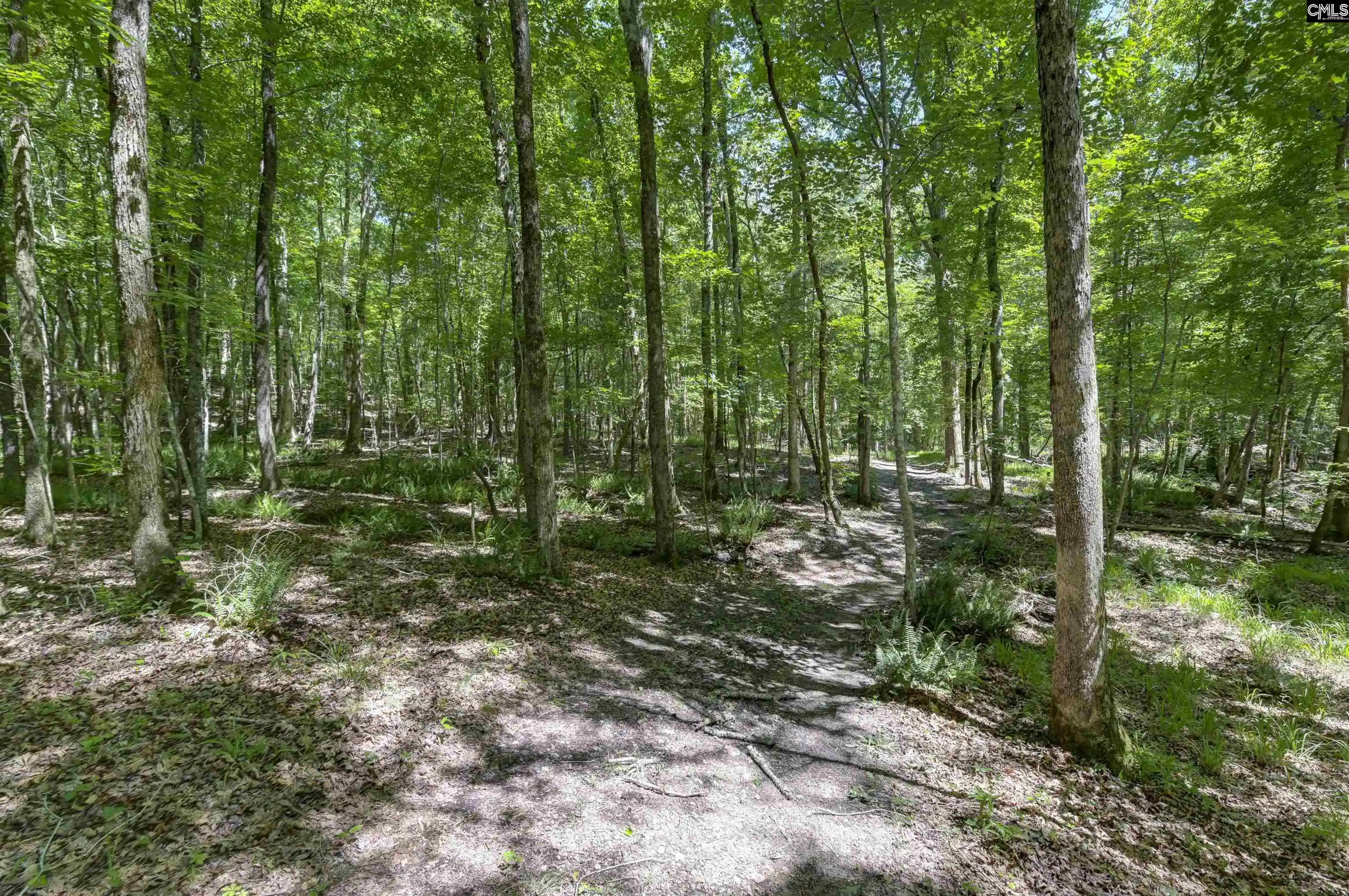 2nd image of Fulmer, Blythewood, SC 29016 | MLS# 635220