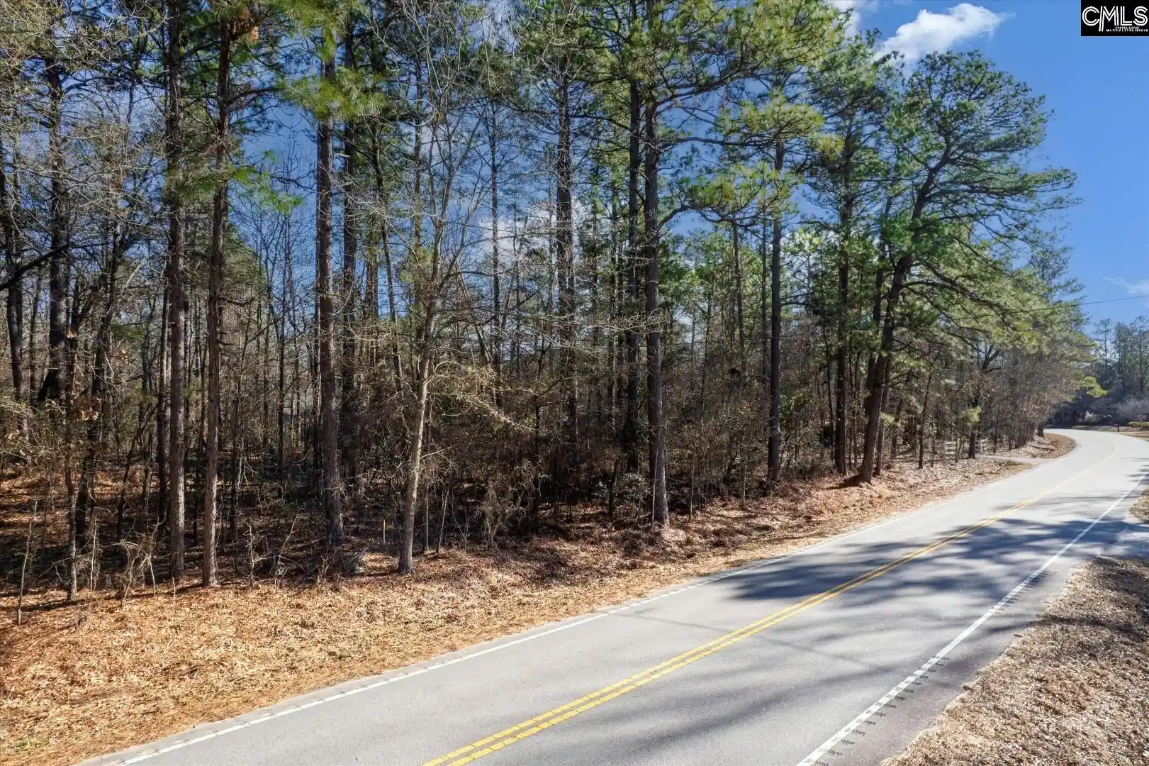 9th image of 0000 Steele, West Columbia, SC 29170 | MLS# 635257