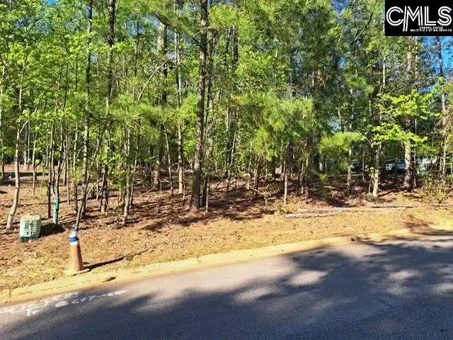 Homes for sale in Chapin, SC | 512 Links Pointe, Chapin, SC 29036 | MLS# 635297