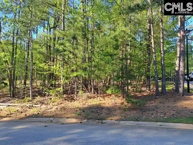Homes for sale in Chapin, SC | 512 Links Pointe, Chapin, SC 29036 | MLS# 635297