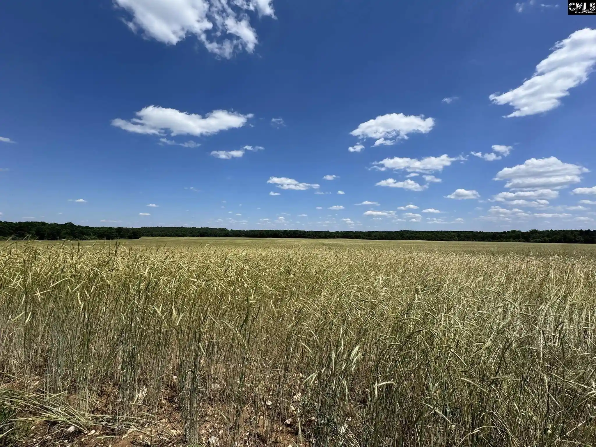 Photo 1 of Land for sale at Strait, Rock Hill, SC 29730 | MLS# 635305 | Listing updated on 2026-05-30
