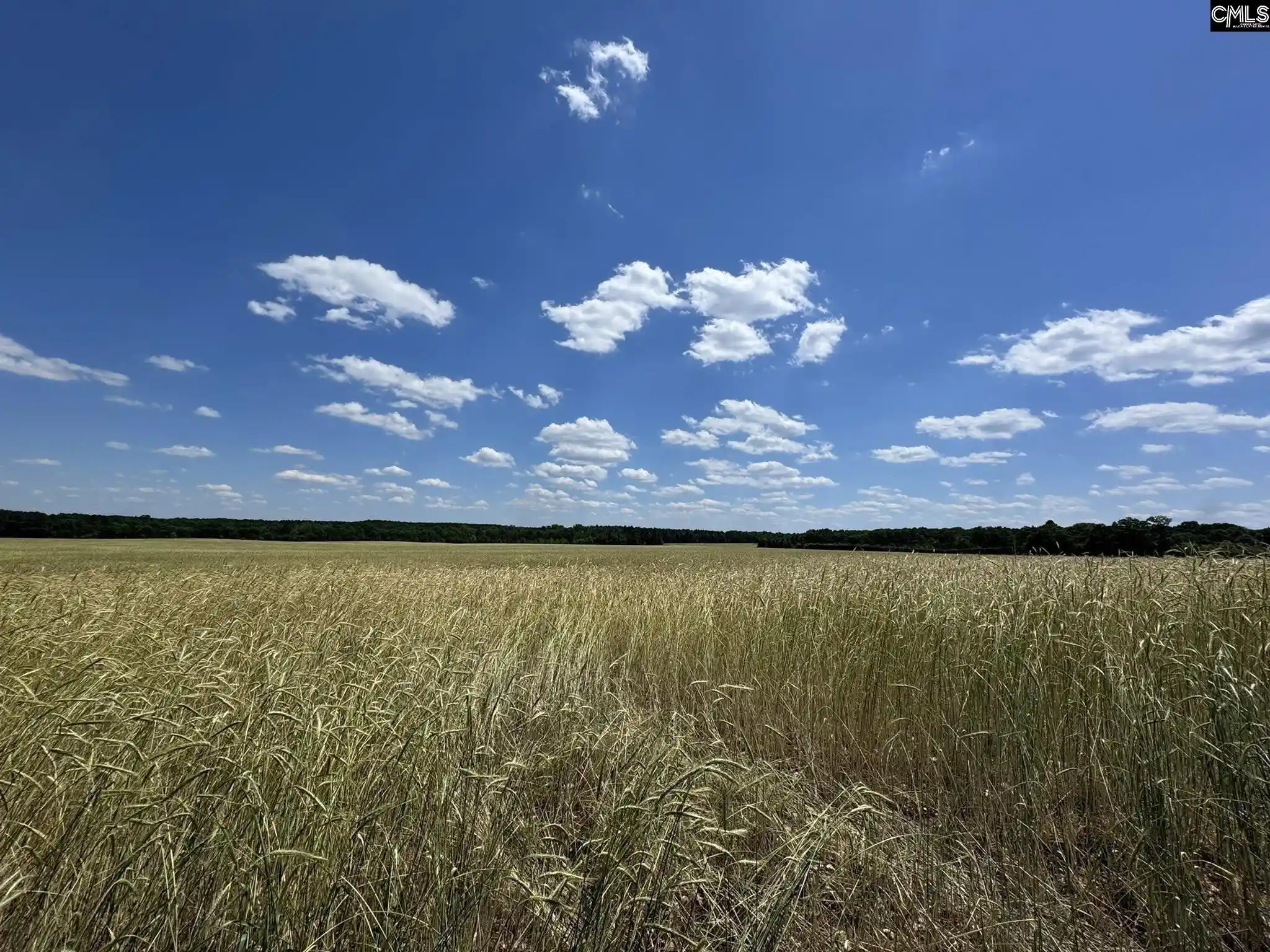Photo 3 of Land for sale at Strait, Rock Hill, SC 29730 | MLS# 635305 | Listing updated on 2026-05-30