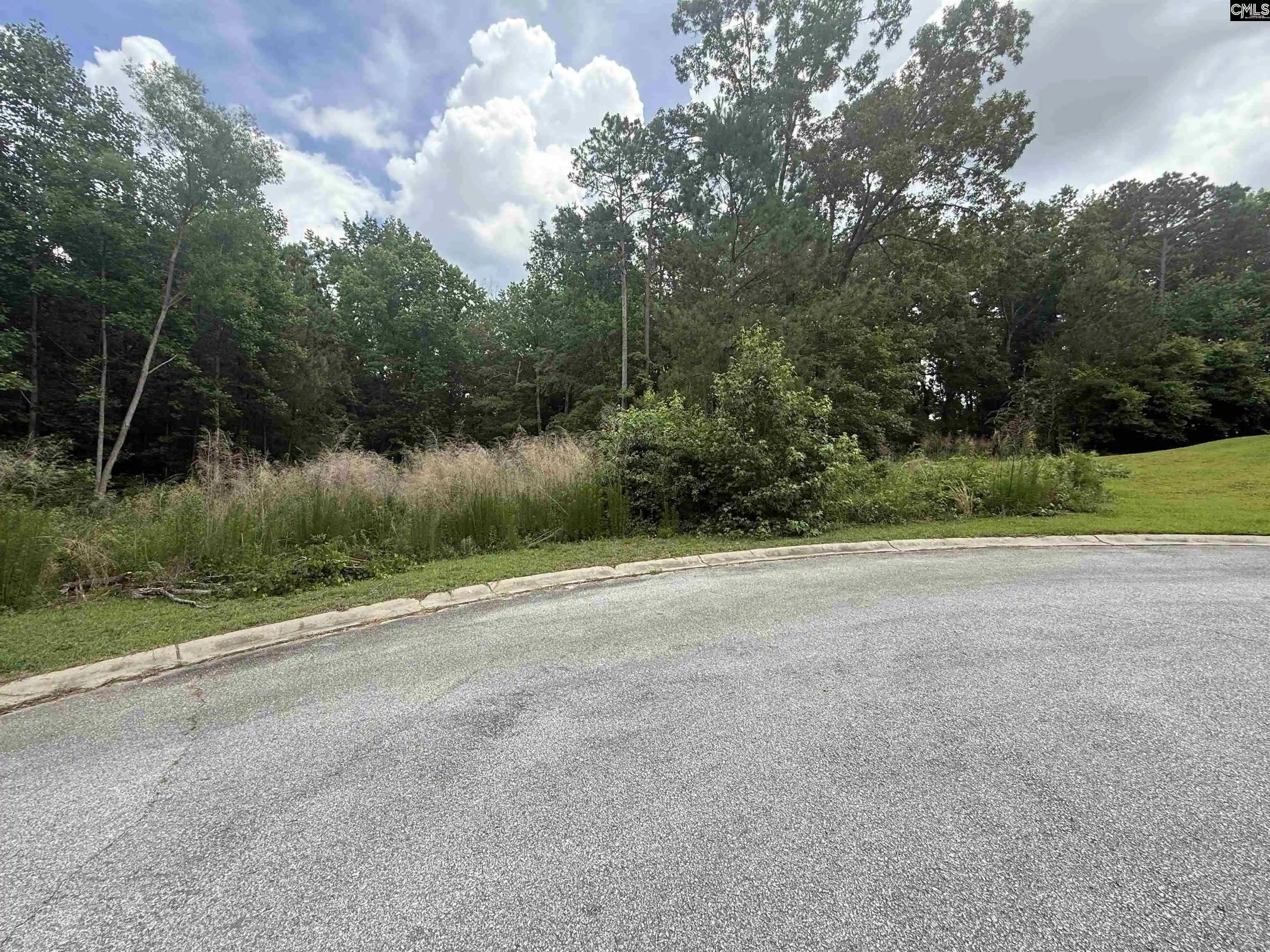 Homes for sale in Blythewood, SC | 243 Fair Ridge Lane, Blythewood, SC 29016 | MLS# 635320