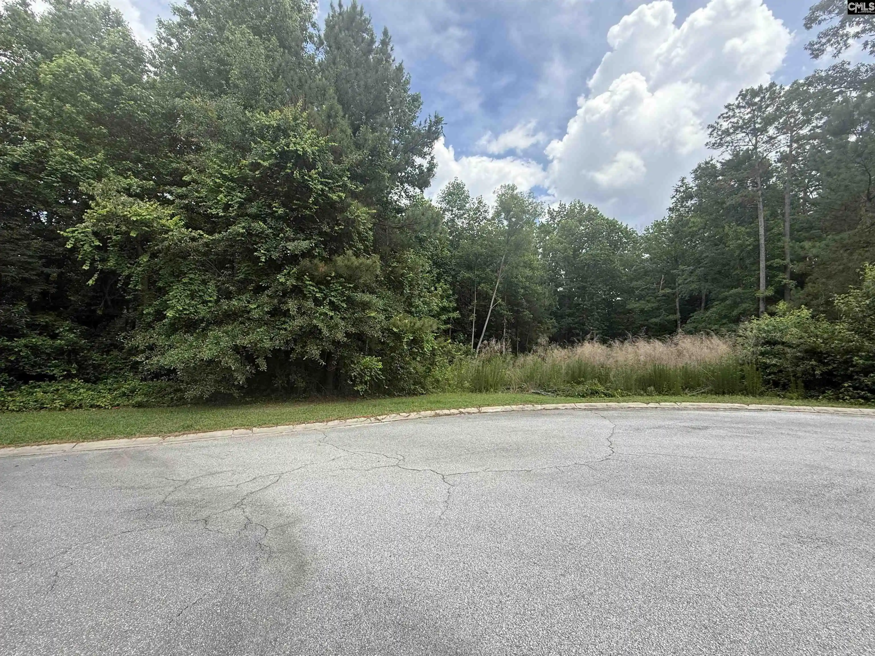 Homes for sale in Blythewood, SC | 243 Fair Ridge Lane, Blythewood, SC 29016 | MLS# 635320