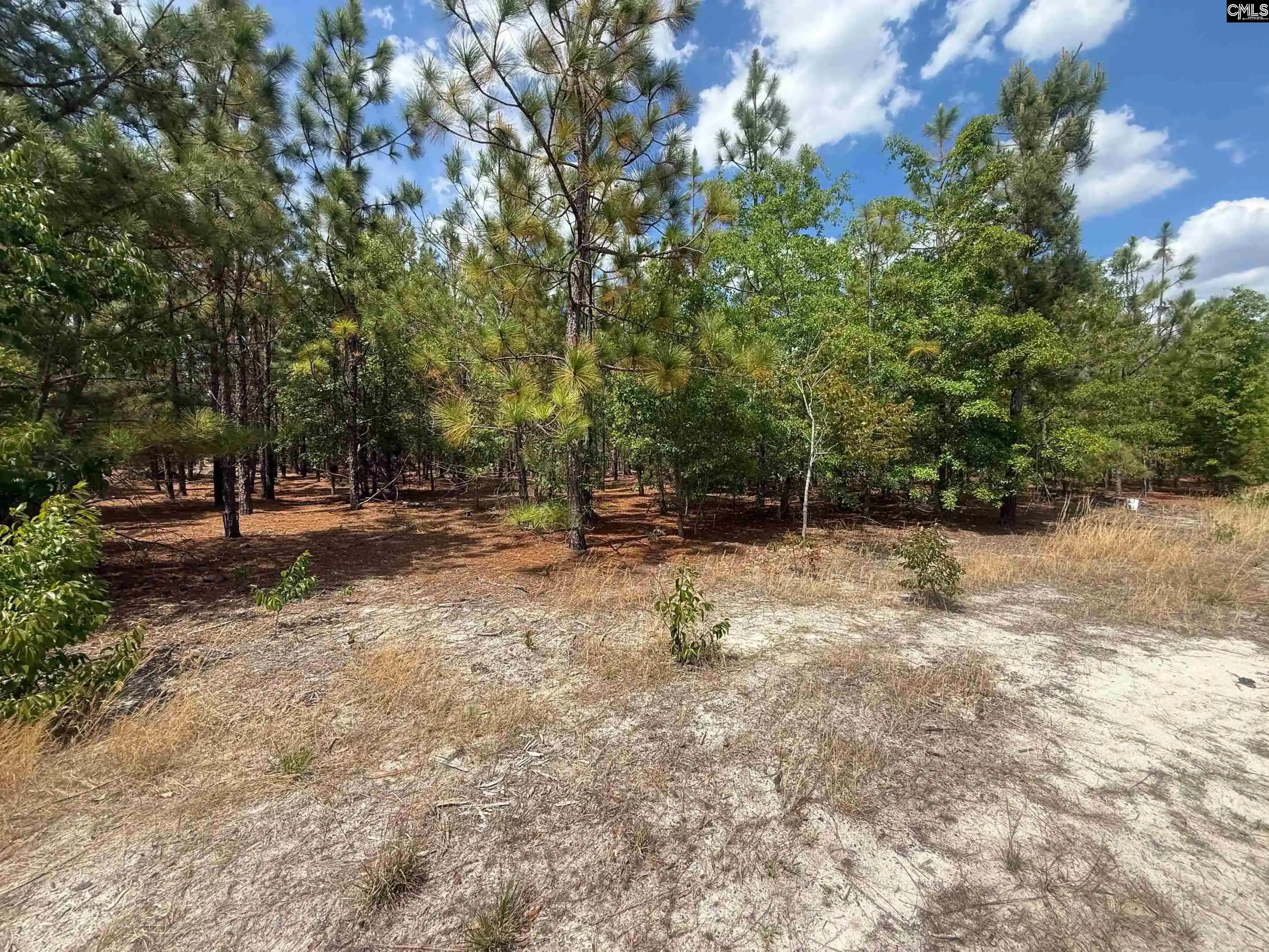 Photo 4 of Sale Pending at 350 Payne Pond #Lot  11, Westville, SC 29175 | MLS# 635433 | Listing updated on 2026-09-18