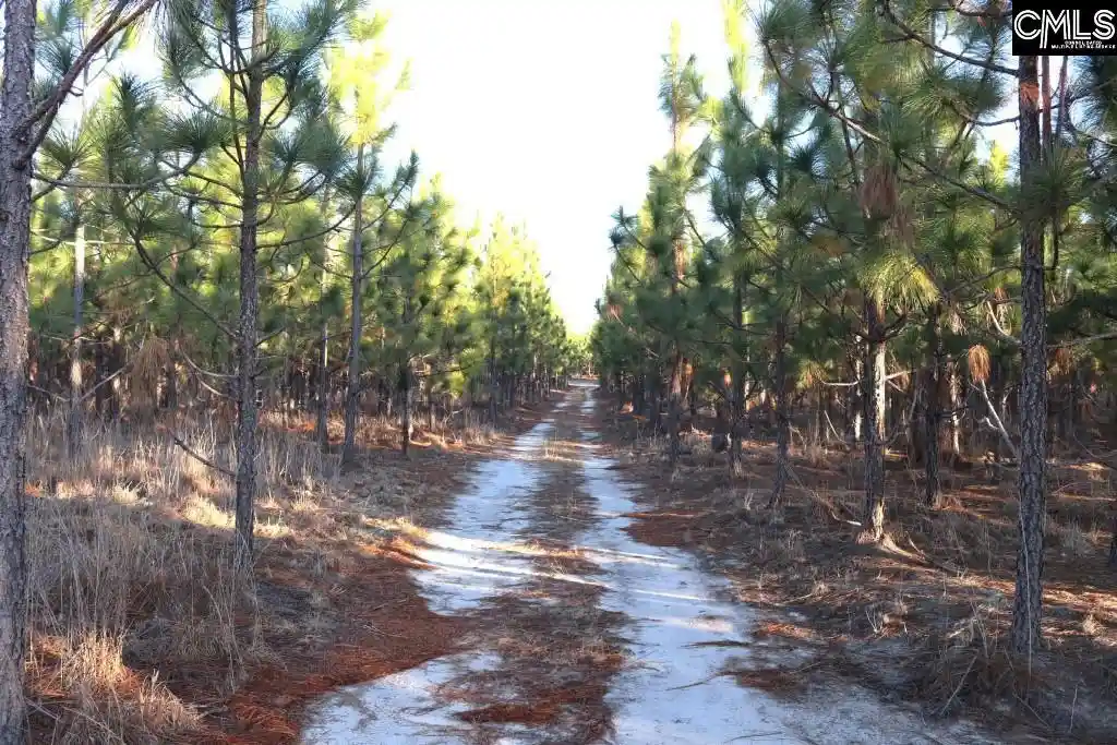 Homes for sale in Wagener, SC | Holstein, Wagener, SC 29164 | MLS# 635511