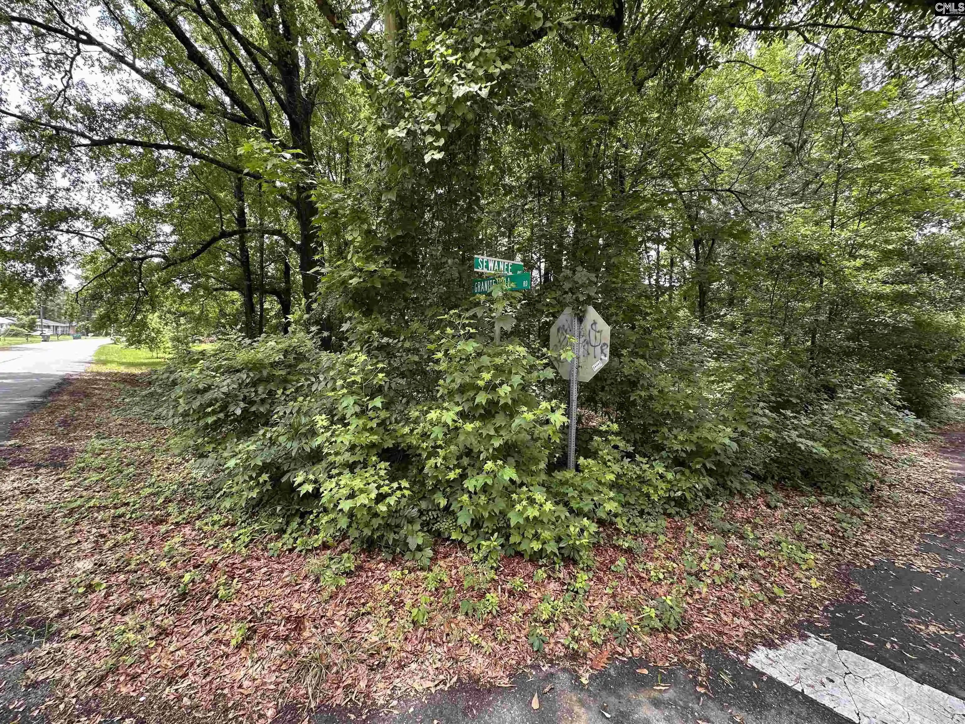 Homes for sale in Cayce, SC | 0 Sewanee, Cayce, SC 29033 | MLS# 635548