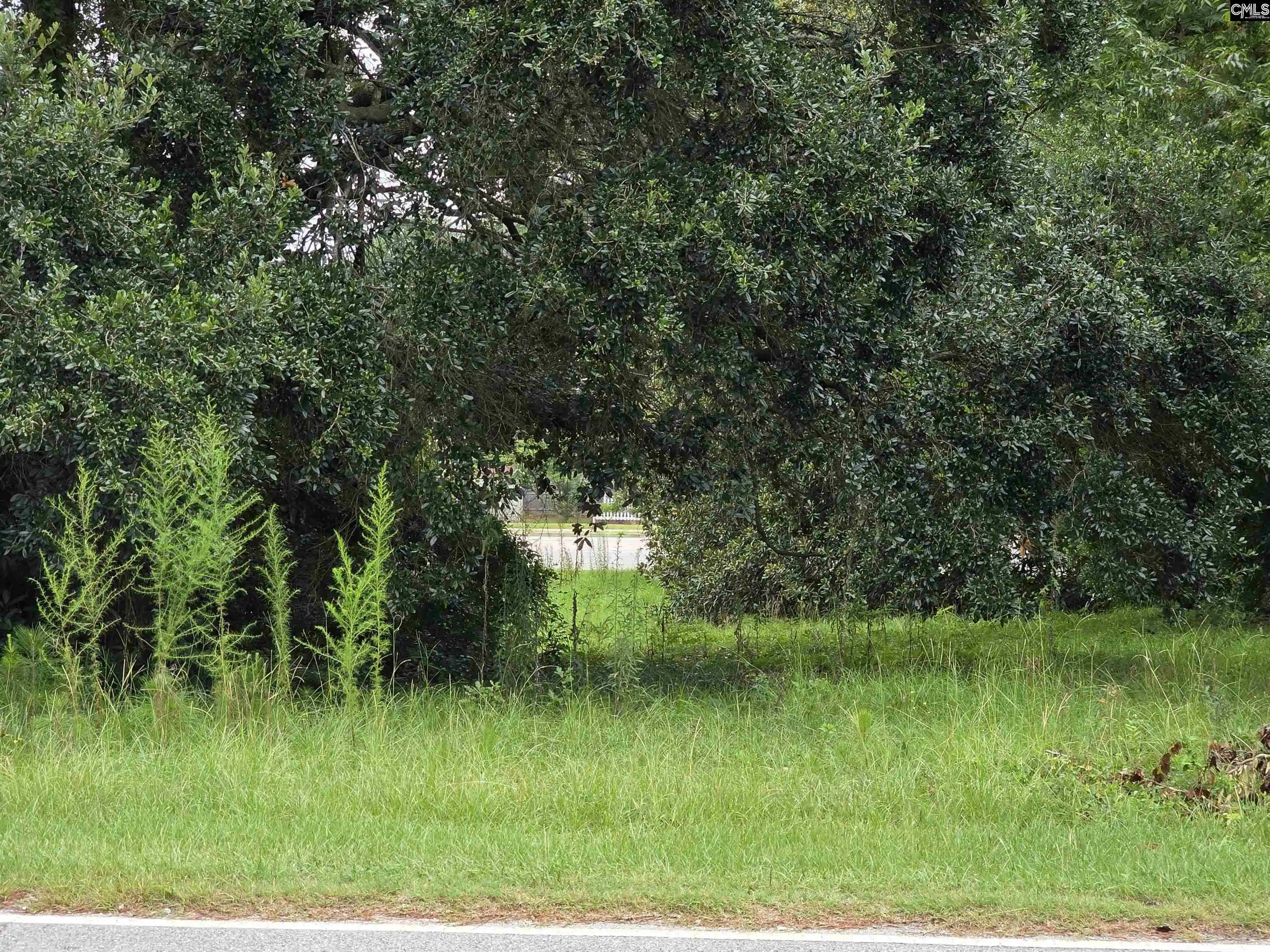 Land for sale at 1711 Chestnut, Orangeburg, SC 29115 | MLS# 635611