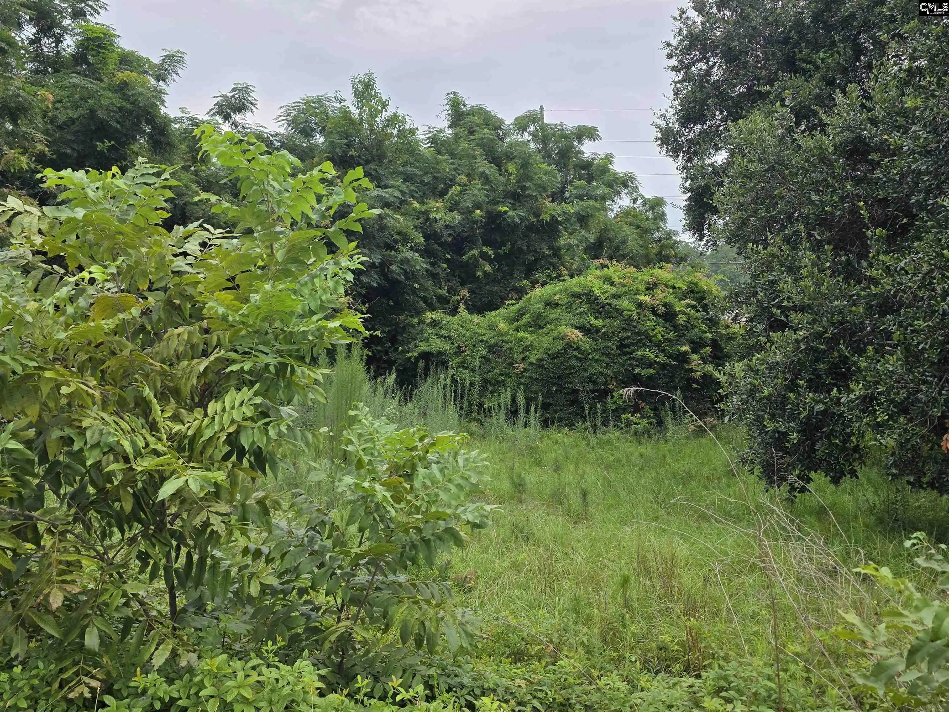 Photo 2 of Land for sale at 1711 Chestnut, Orangeburg, SC 29115 | MLS# 635611 | Listing updated on 2026-09-08