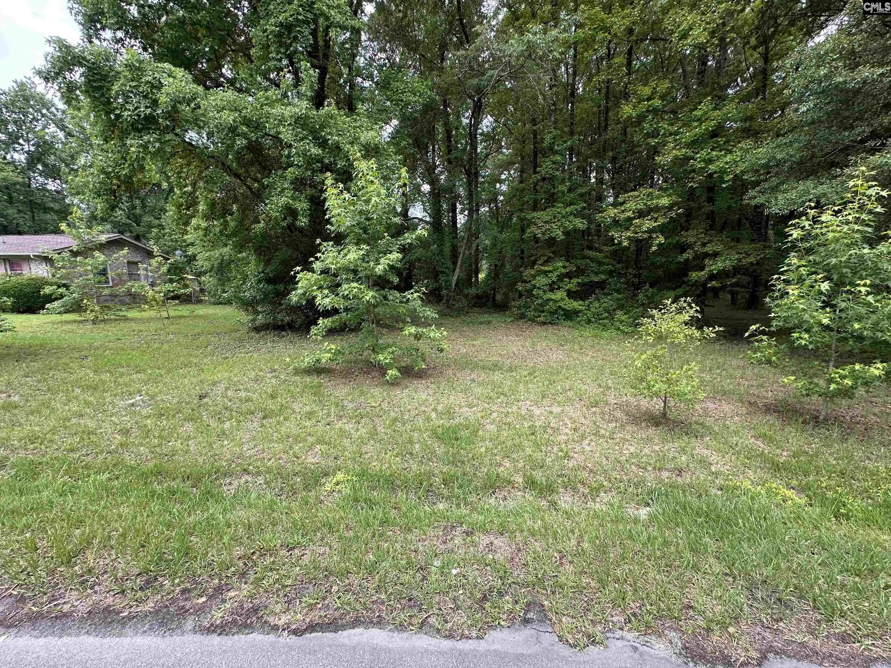 Homes for sale in Cayce, SC | Granite Hill, Cayce, SC 29033 | MLS# 635614