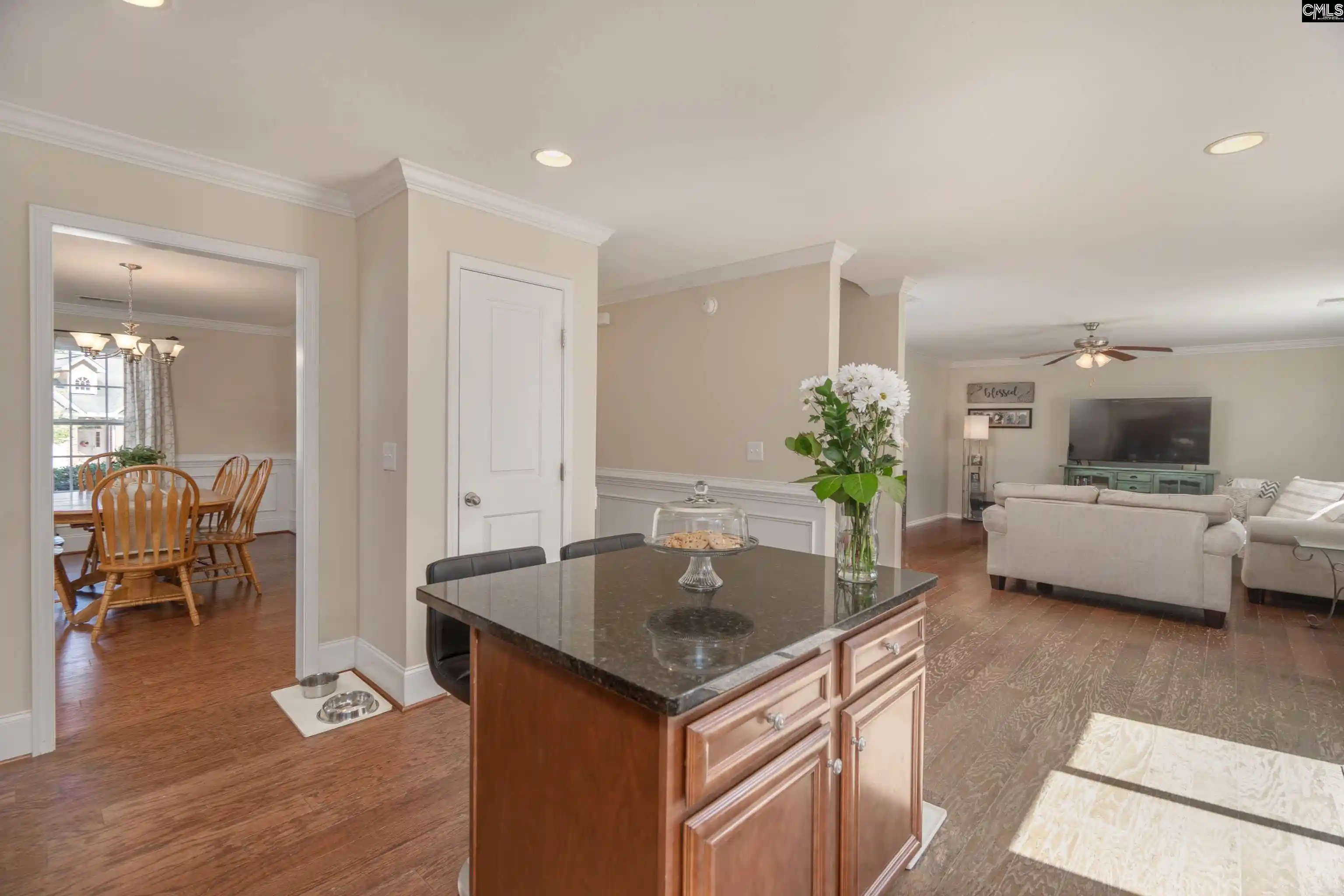 Homes for sale in Chapin, SC | 133 Palm St, Chapin, SC 29036 | MLS# 635765