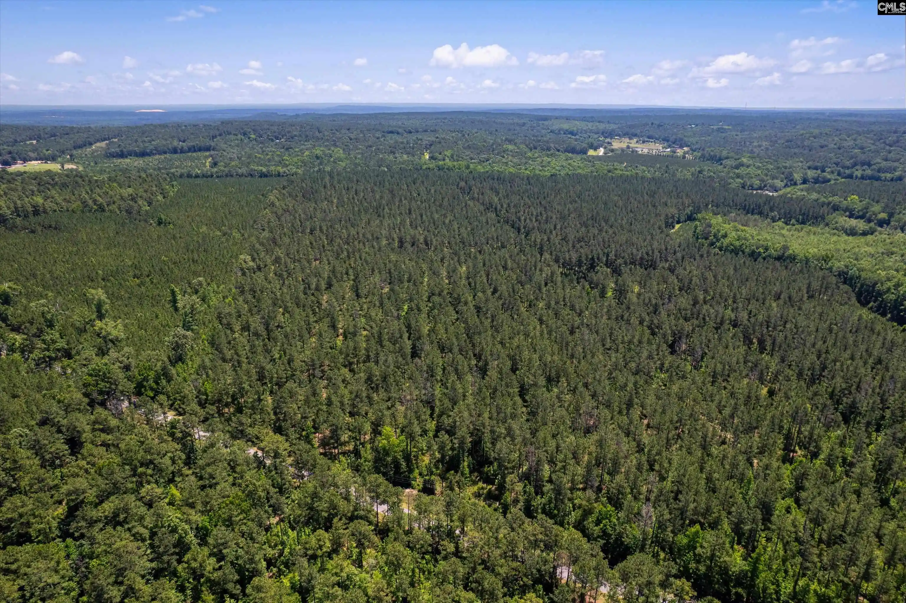 4th image of Tbd Toms Creek, Hopkins, SC 29061 | MLS# 635863