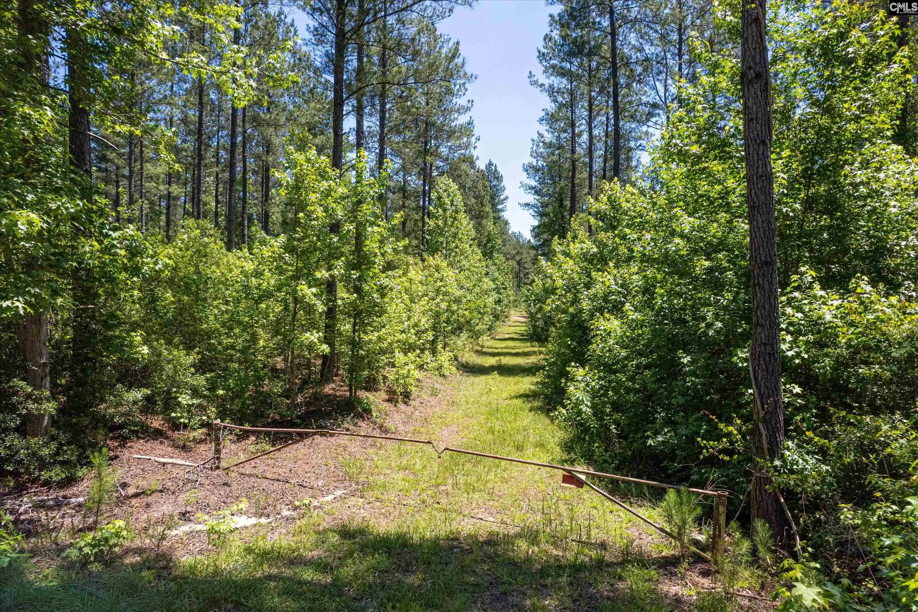 10th image of Tbd Toms Creek, Hopkins, SC 29061 | MLS# 635863
