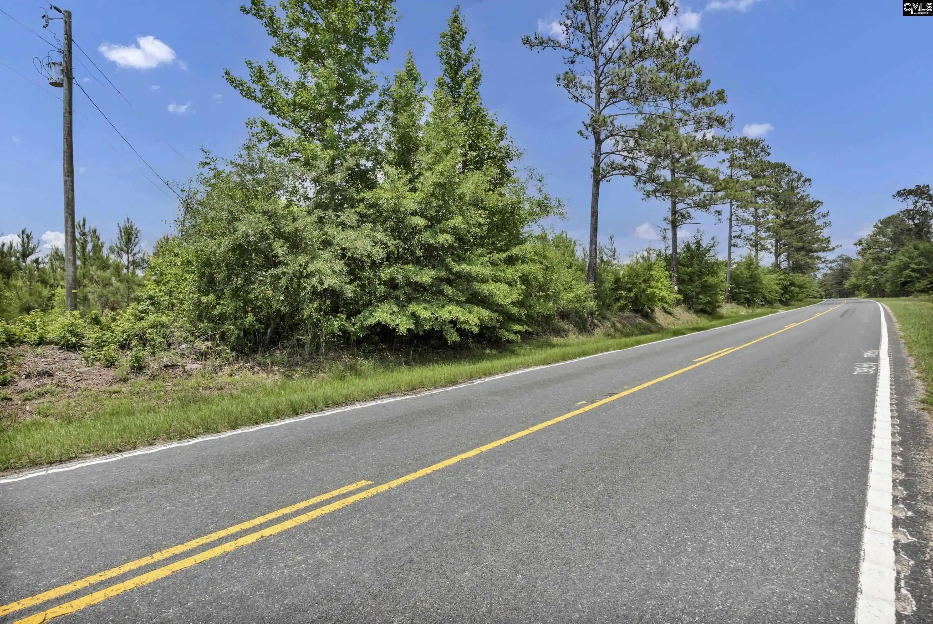1st image of Na Bull Swamp, North, SC 29112 | MLS# 635938