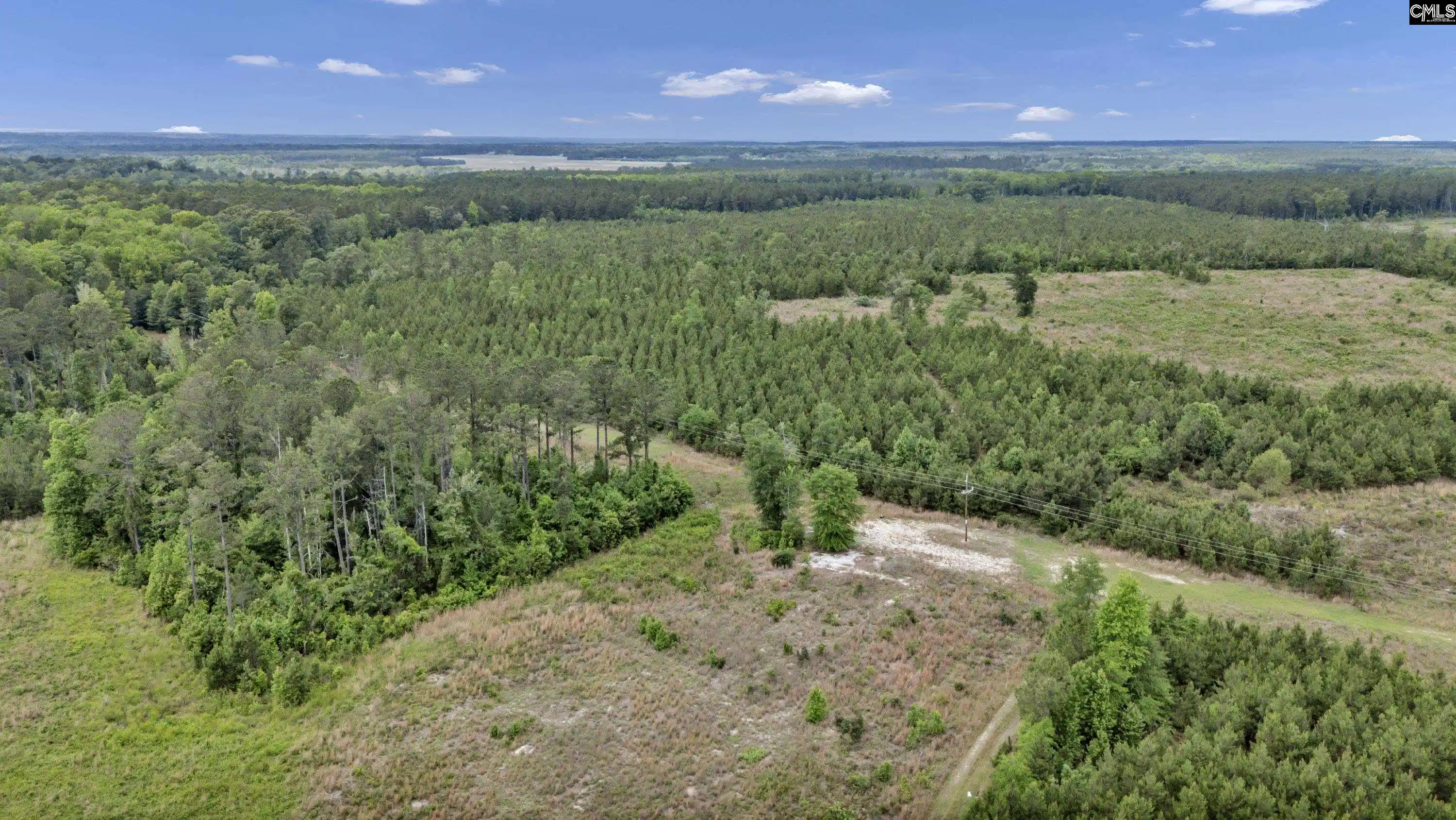 Photo 3 of Land for sale at Na Bull Swamp, North, SC 29112 | MLS# 635938 | Listing updated on 2026-07-11