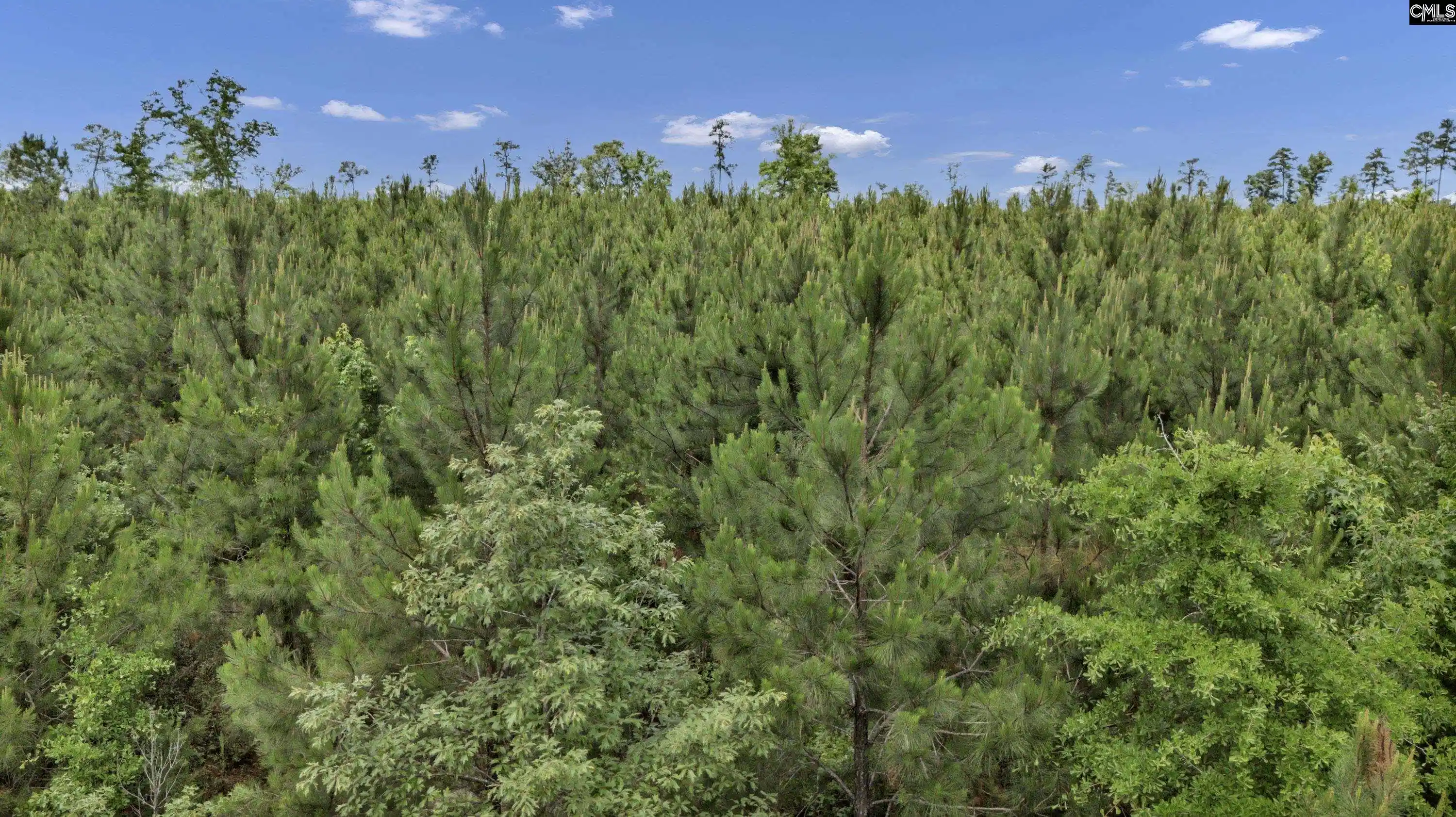 28th image of Na Bull Swamp, North, SC 29112 | MLS# 635938