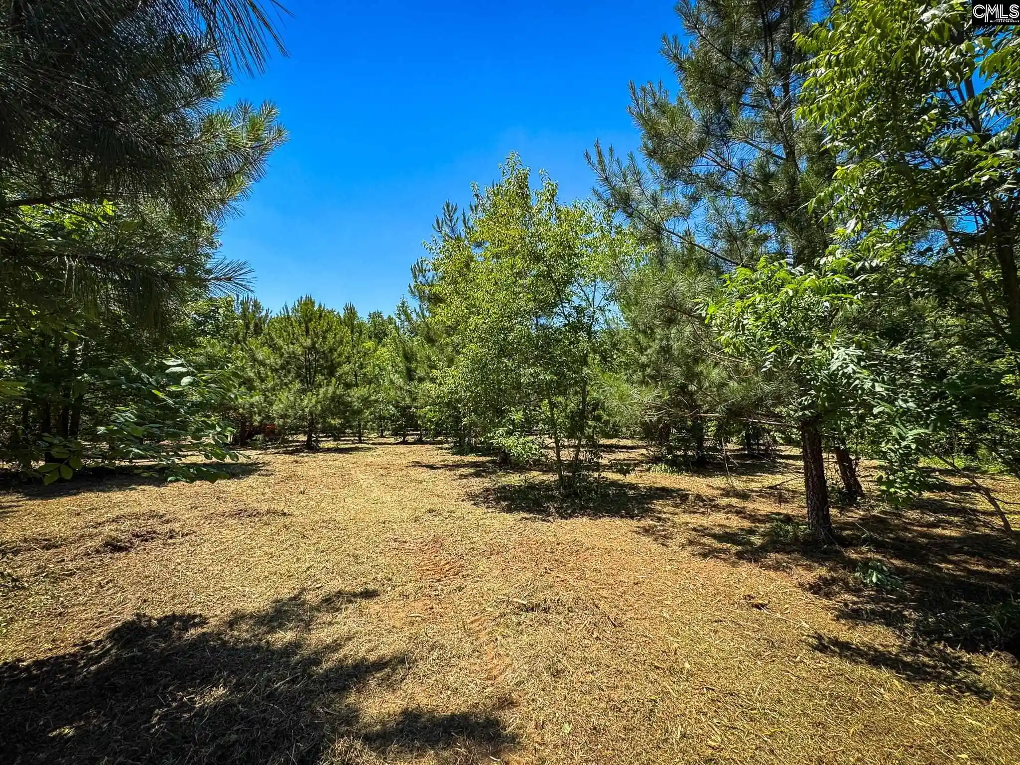 Homes for sale in Batesburg, SC | 0 S Bethlehem #Lot 1, Batesburg, SC 29006 | MLS# 635942