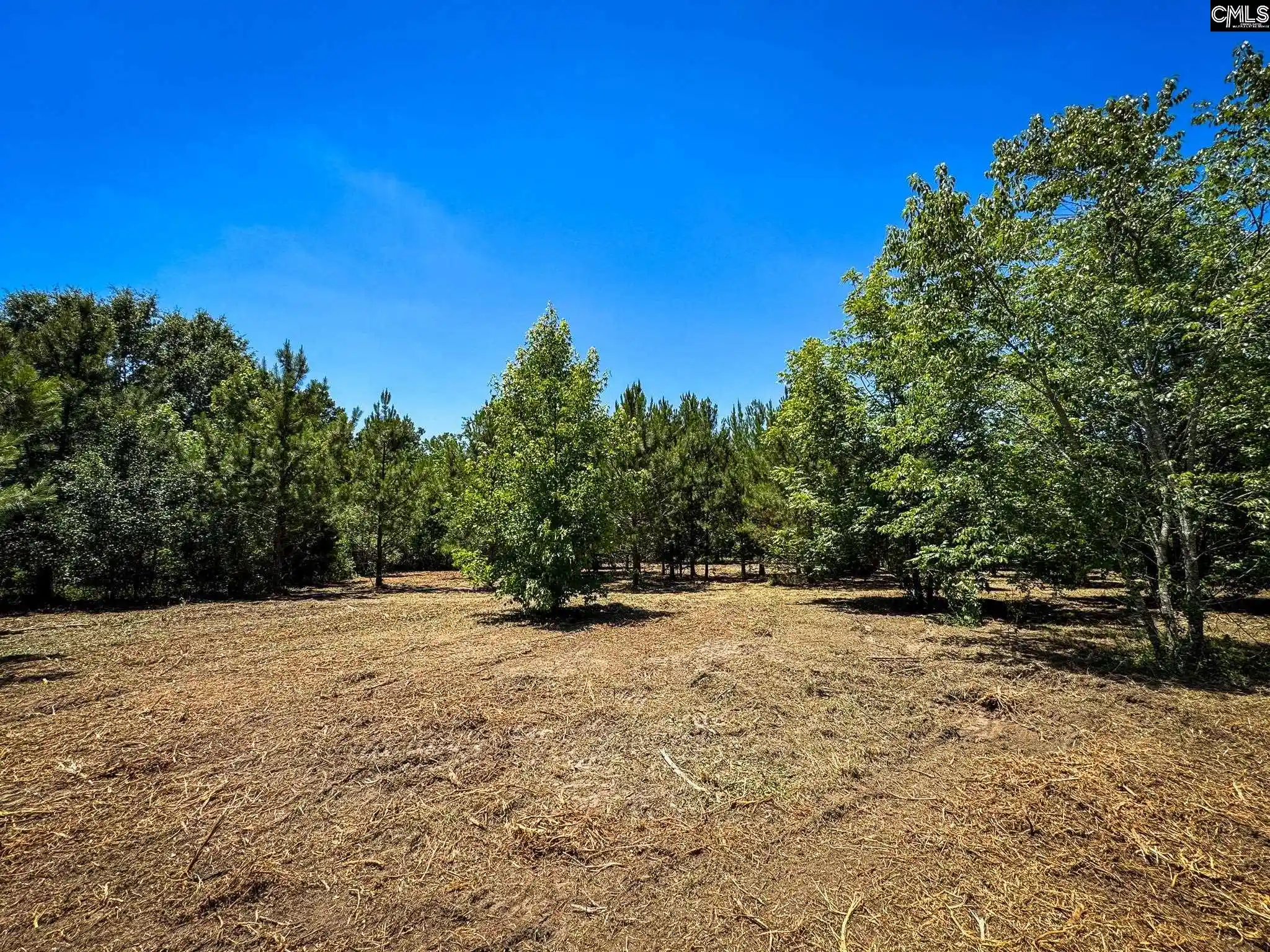 Homes for sale in Batesburg, SC | 0 S Bethlehem #Lot 1, Batesburg, SC 29006 | MLS# 635942