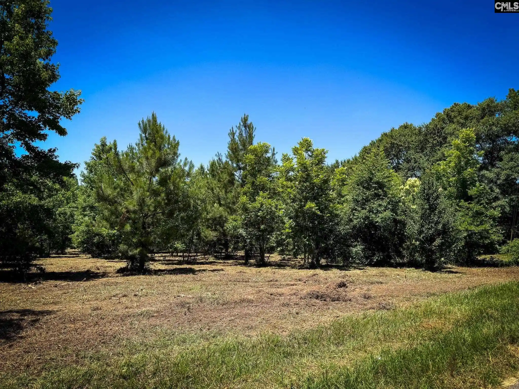 Homes for sale in Batesburg, SC | 0 S Bethlehem #Lot 2, Batesburg, SC 29006 | MLS# 635943