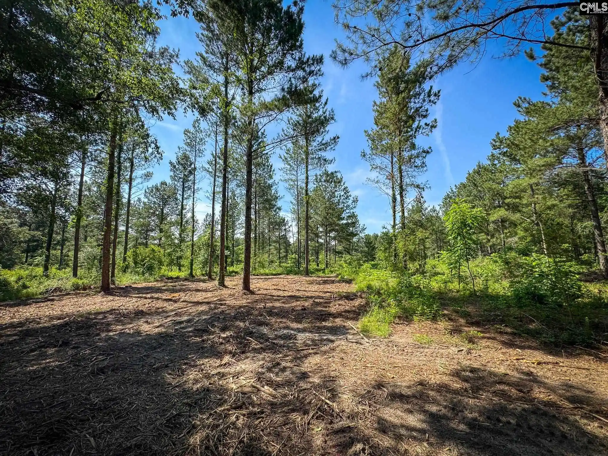 Homes for sale in Leesville, SC | 0 Lewis Waters #Lot 1, Leesville, SC 29070 | MLS# 635944