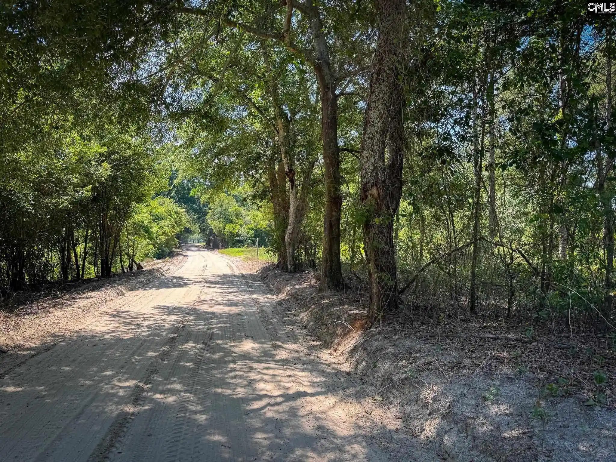 Homes for sale in Leesville, SC | 0 Lewis Waters #Lot 1, Leesville, SC 29070 | MLS# 635944