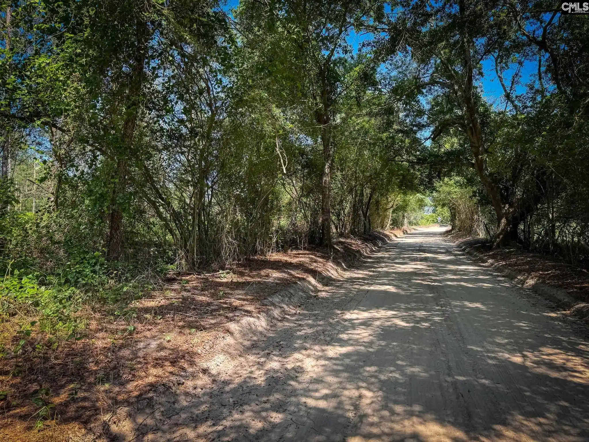Homes for sale in Leesville, SC | 0 Lewis Waters #Lot 1, Leesville, SC 29070 | MLS# 635944