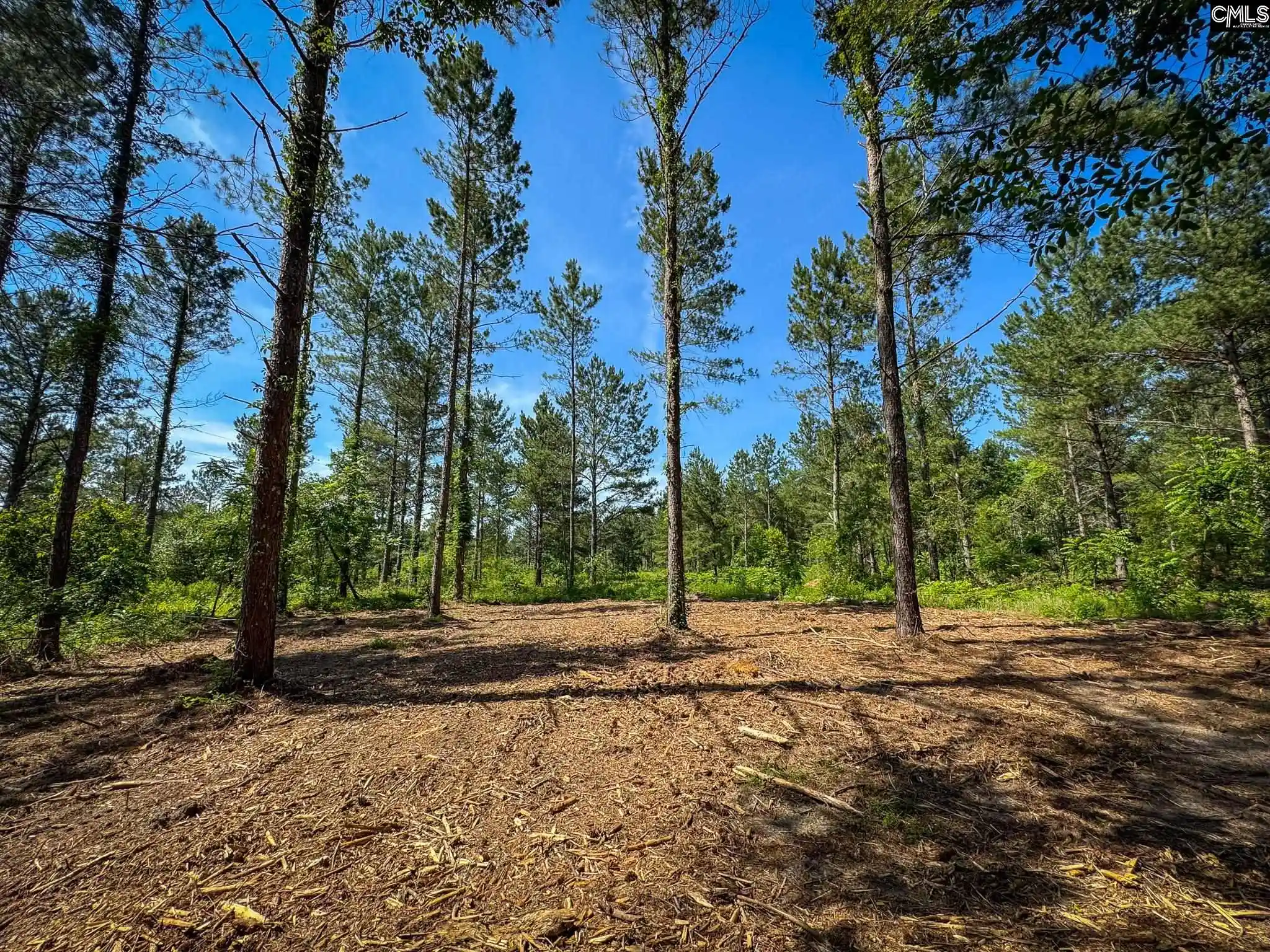 Homes for sale in Leesville, SC | 0 Lewis Waters #Lot 1, Leesville, SC 29070 | MLS# 635944
