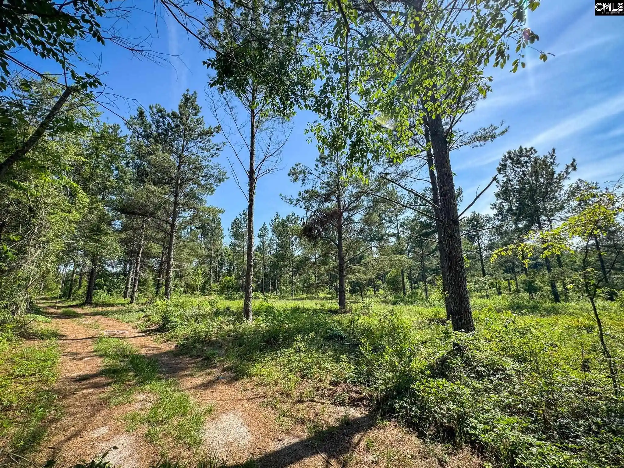 Homes for sale in Leesville, SC | 0 Lewis Waters #Lot 1, Leesville, SC 29070 | MLS# 635944