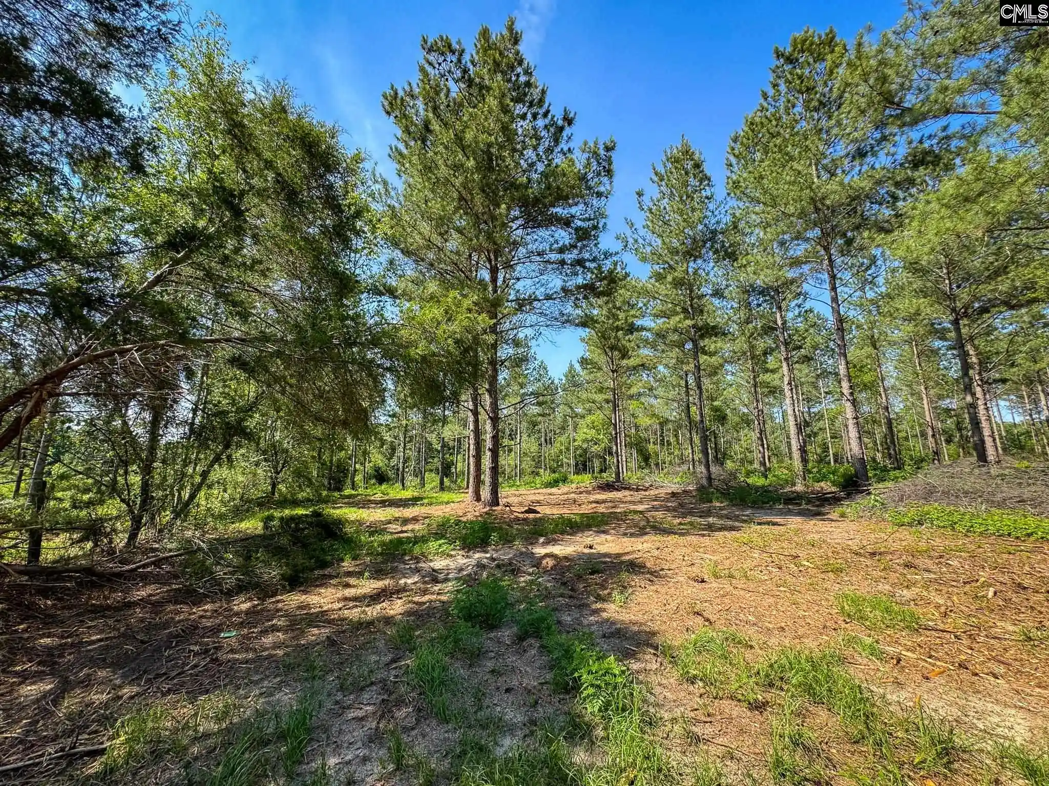 Homes for sale in Leesville, SC | 0 Lewis Waters #Lot 2, Leesville, SC 29070 | MLS# 635945