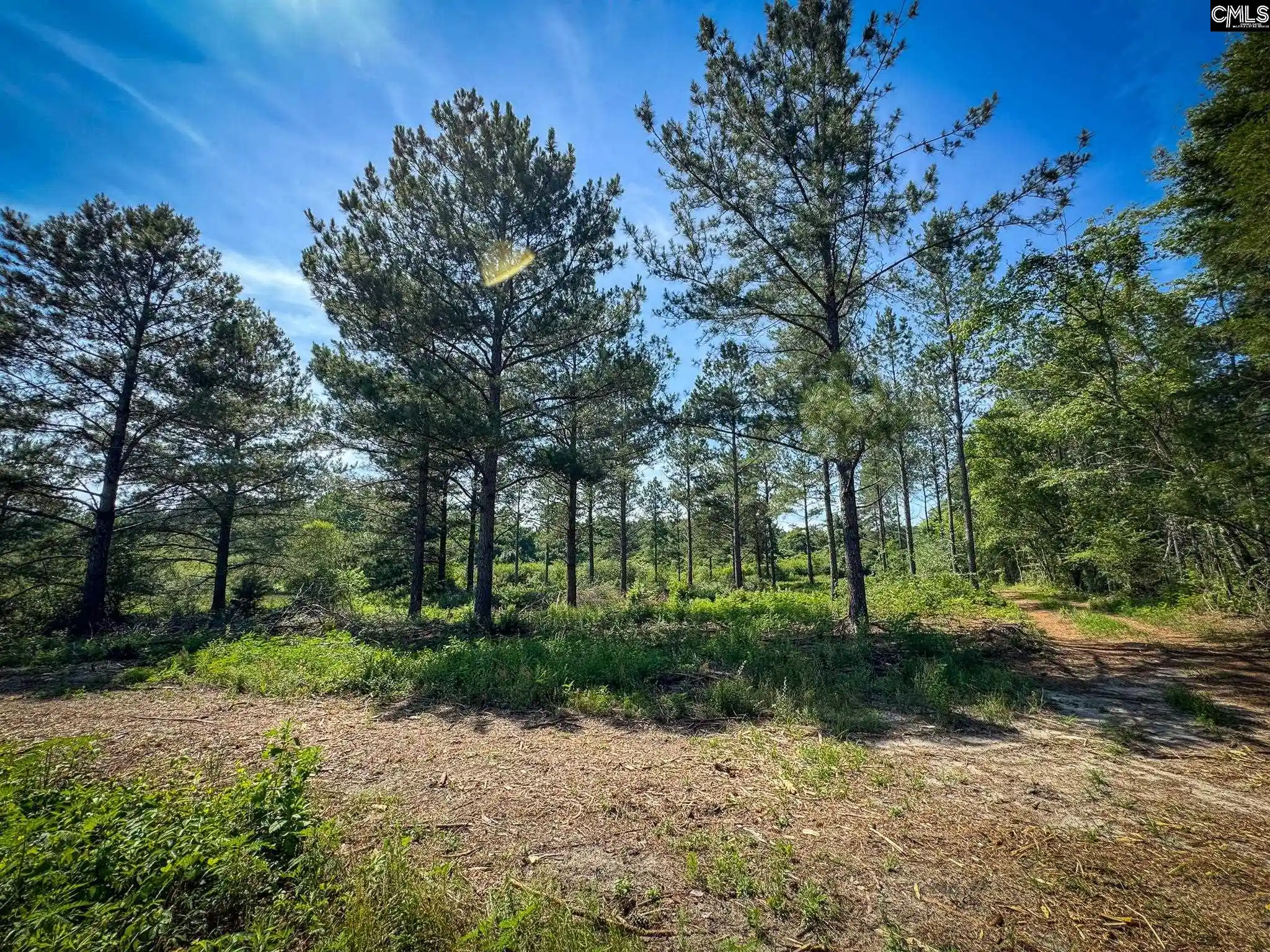 Homes for sale in Leesville, SC | 0 Lewis Waters #Lot 2, Leesville, SC 29070 | MLS# 635945