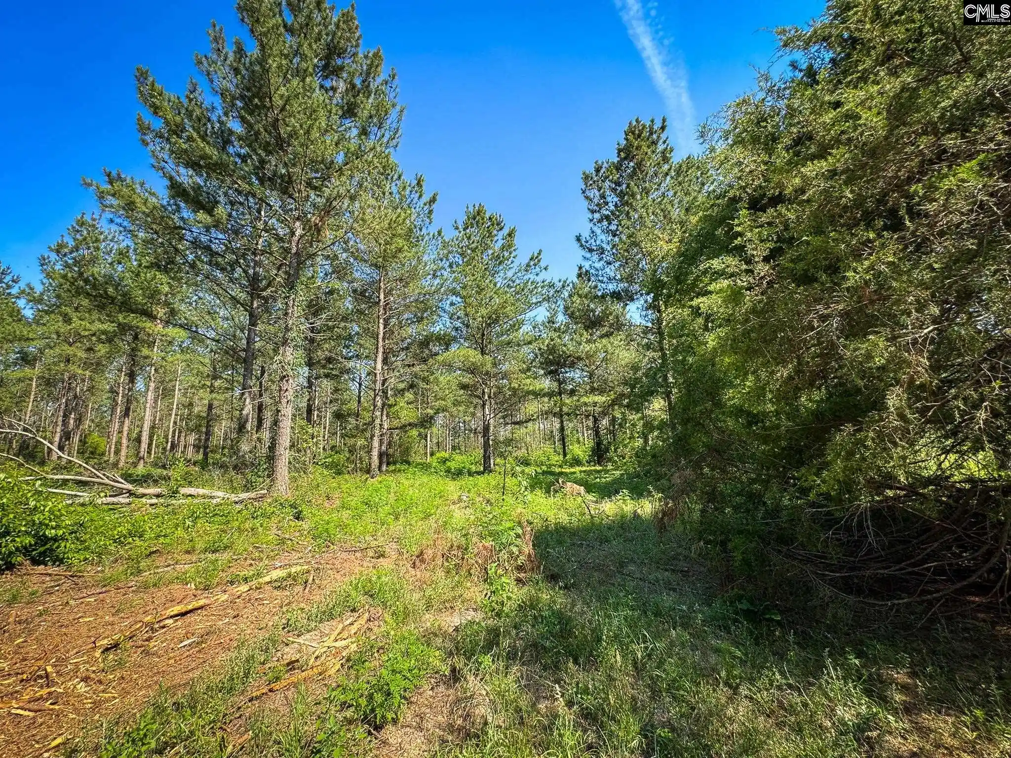 Homes for sale in Leesville, SC | 0 Lewis Waters #Lot 2, Leesville, SC 29070 | MLS# 635945