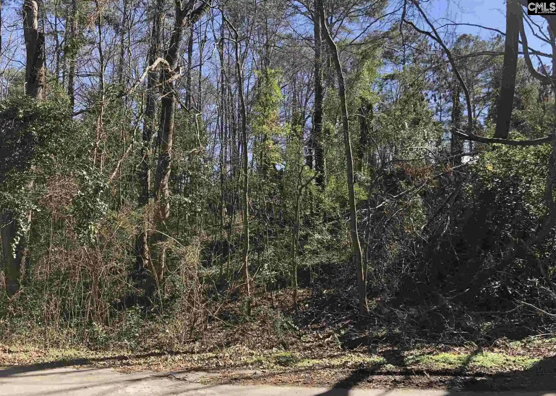 Photo 2 of Land for sale at 1314 Red Ridge Terrace, Columbia, SC 29203 | MLS# 635956 | Listing updated on 2026-06-07