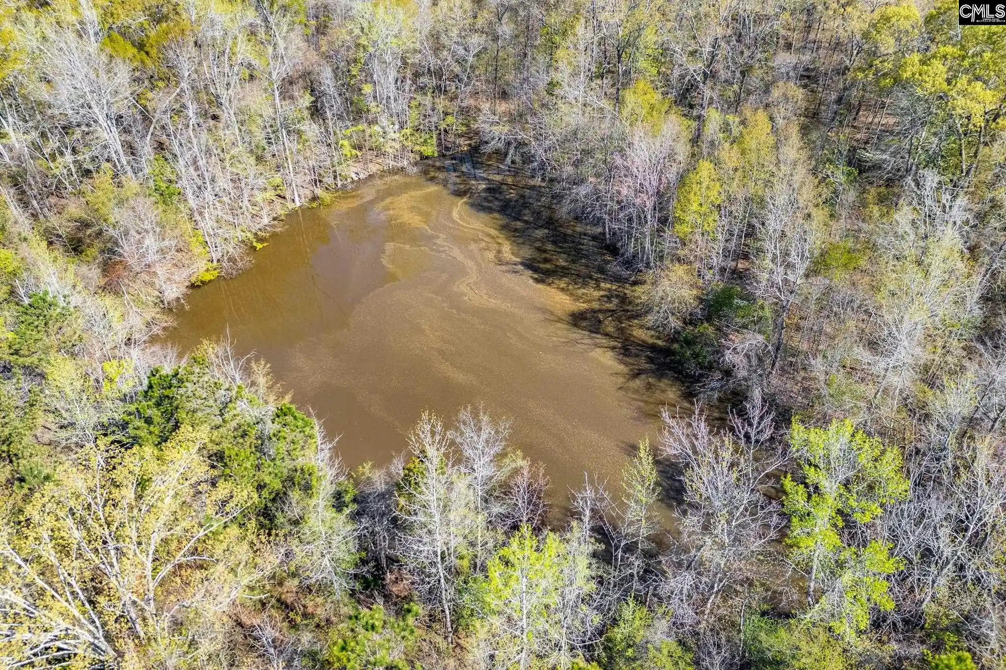 Photo 2 of Land for sale at 3941 Holley Ferry, Leesville, SC 29070 | MLS# 636002 | Listing updated on 2026-08-25