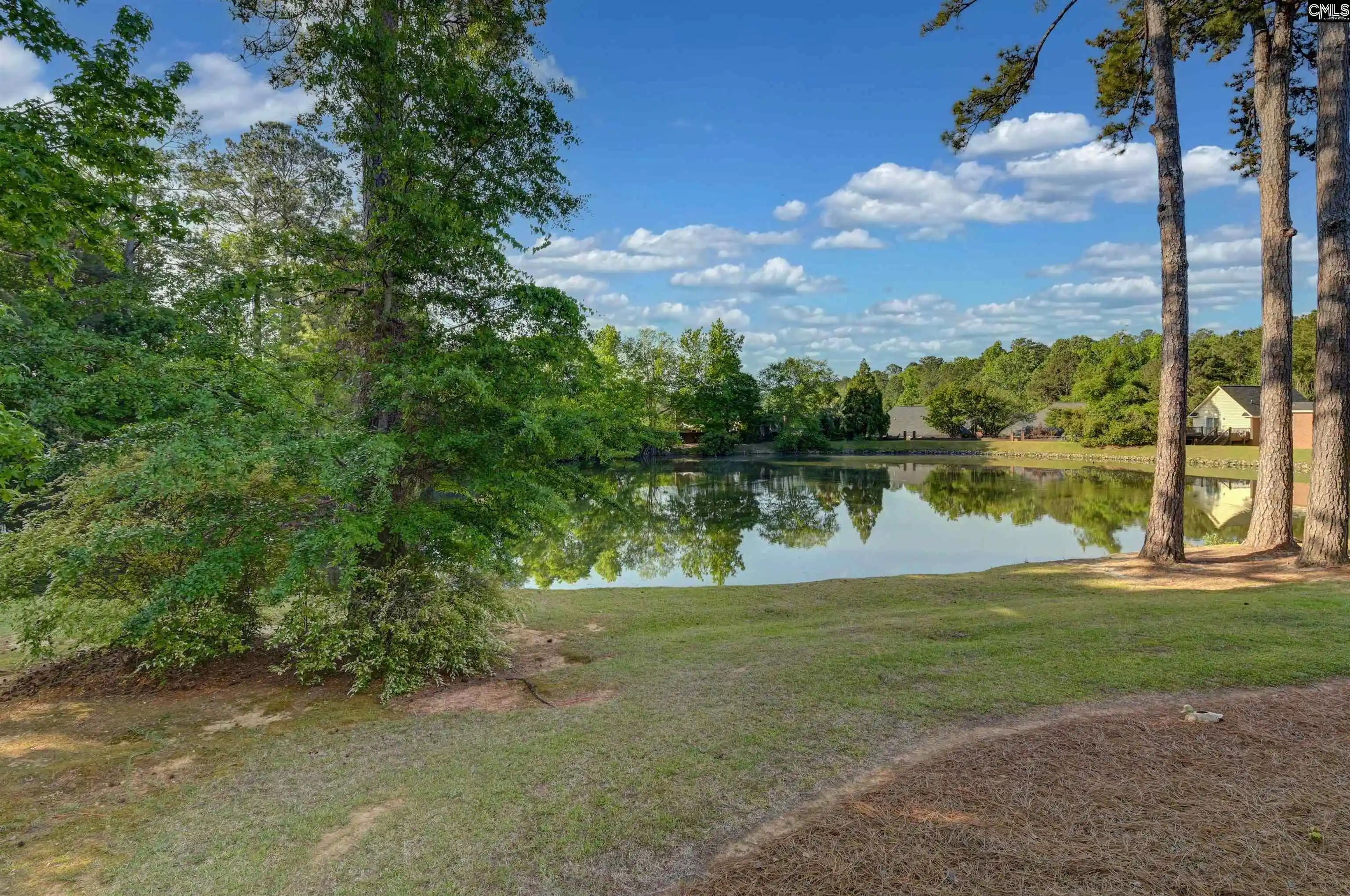 Homes for sale in Irmo, SC | 121 Wandering Brook, Irmo, SC 29063 | MLS# 636031