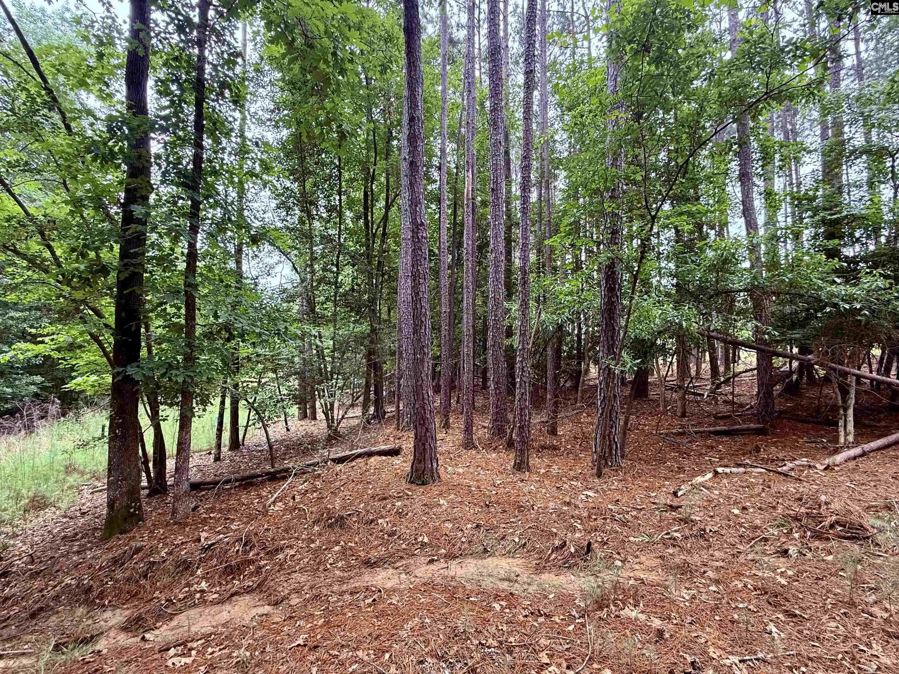 Homes for sale in Prosperity, SC | Timber Trail, Prosperity, SC 29127 | MLS# 636161