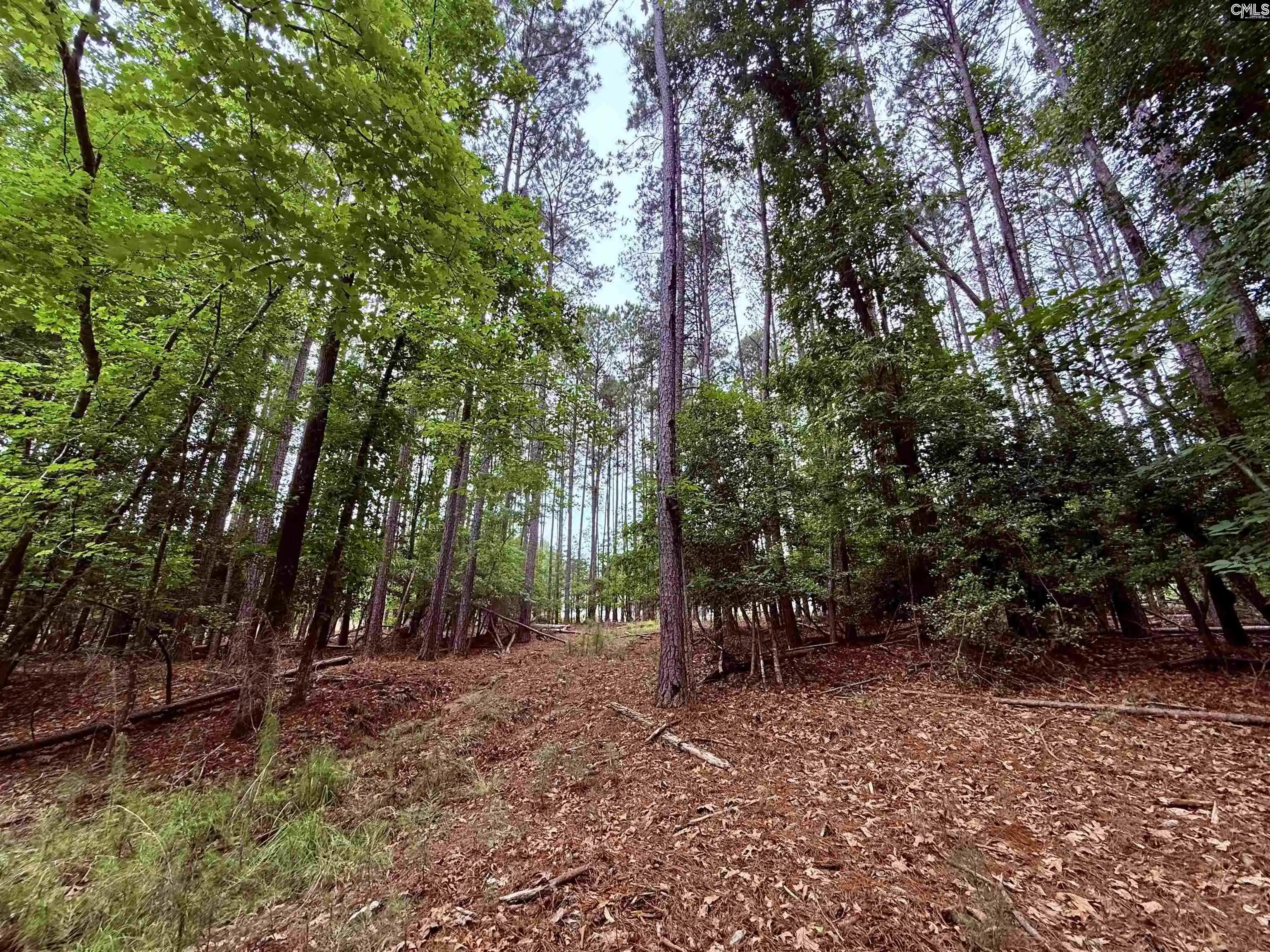 Photo 3 of Land for sale at Timber Trail, Newberry, SC 29108 | MLS# 636161 | Listing updated on 2026-06-12