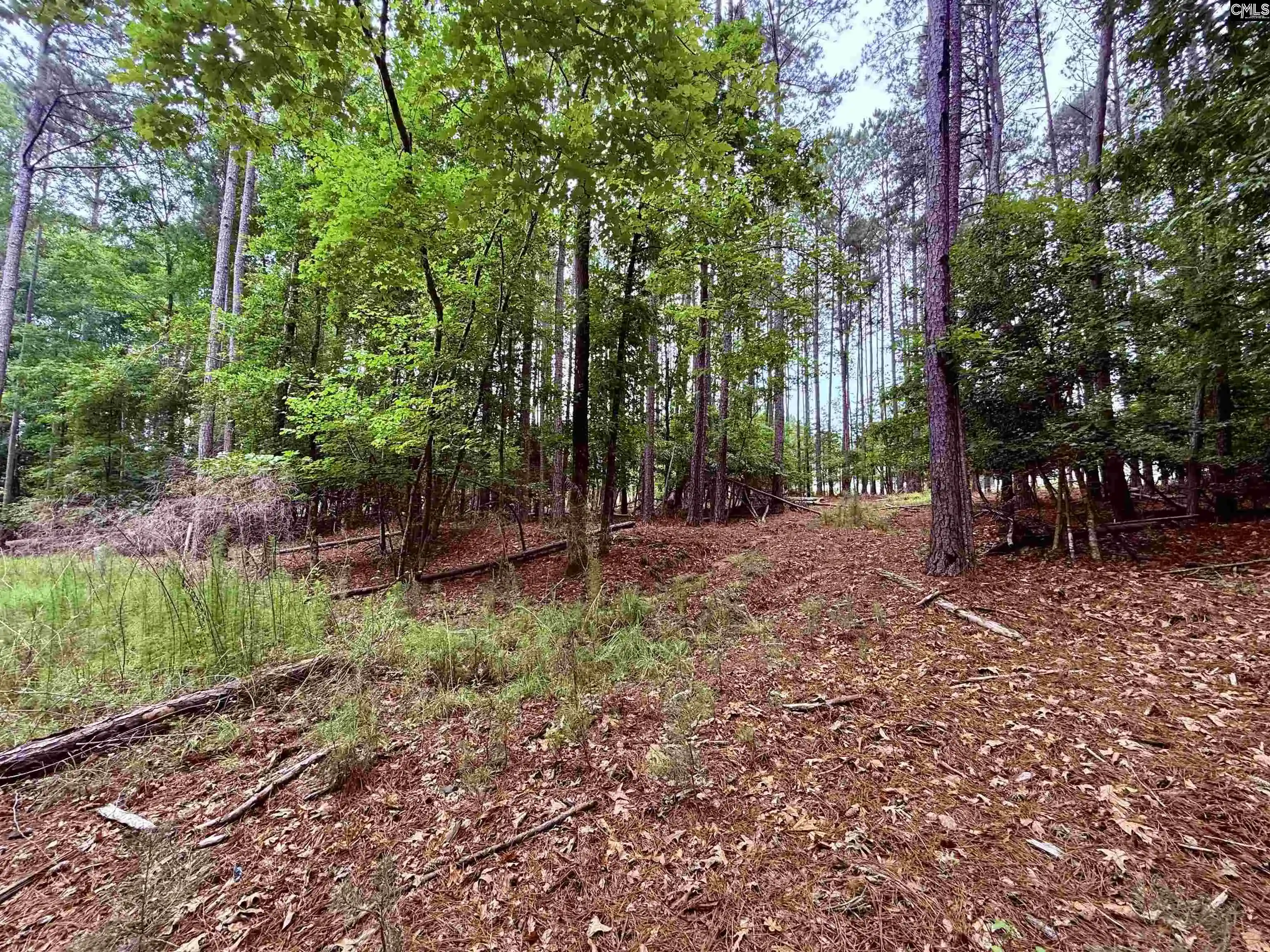 Photo 3 of Land for sale at Timber Trail, Newberry, SC 29108 | MLS# 636161 | Listing updated on 2026-06-12