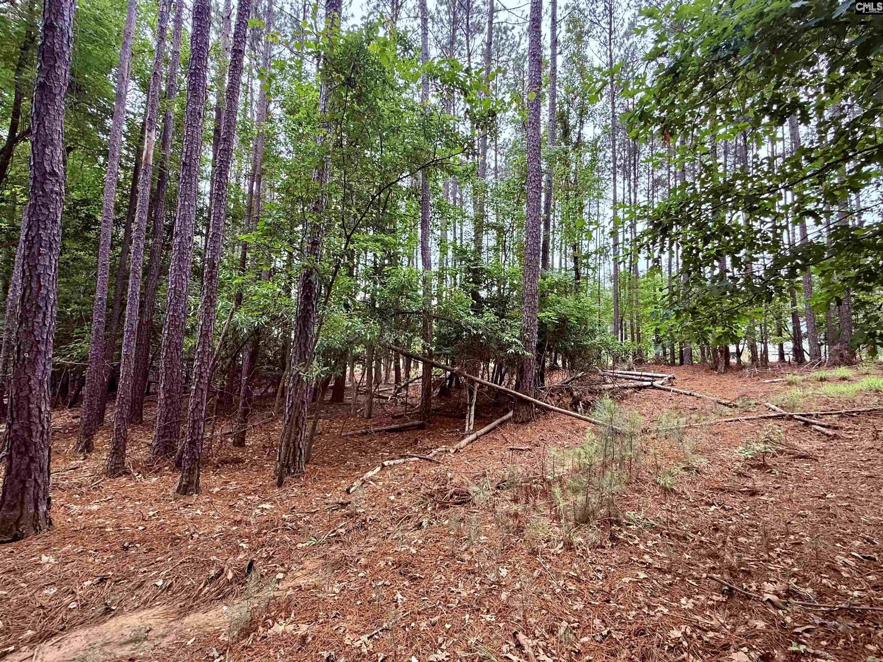 Homes for sale in Prosperity, SC | Timber Trail, Prosperity, SC 29127 | MLS# 636161
