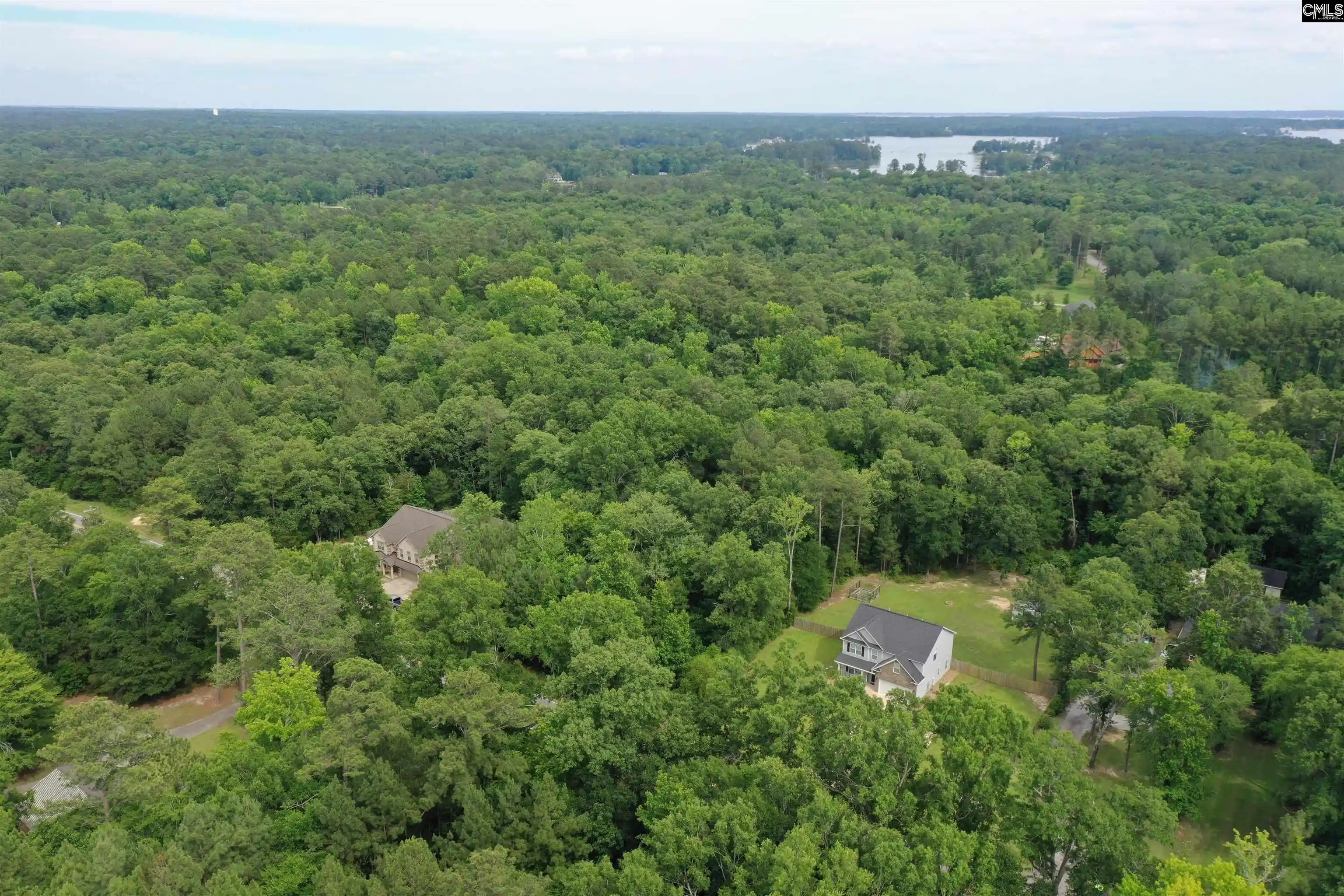 Homes for sale in Chapin, SC | 743 Amicks Ferry, Chapin, SC 29036 | MLS# 636185