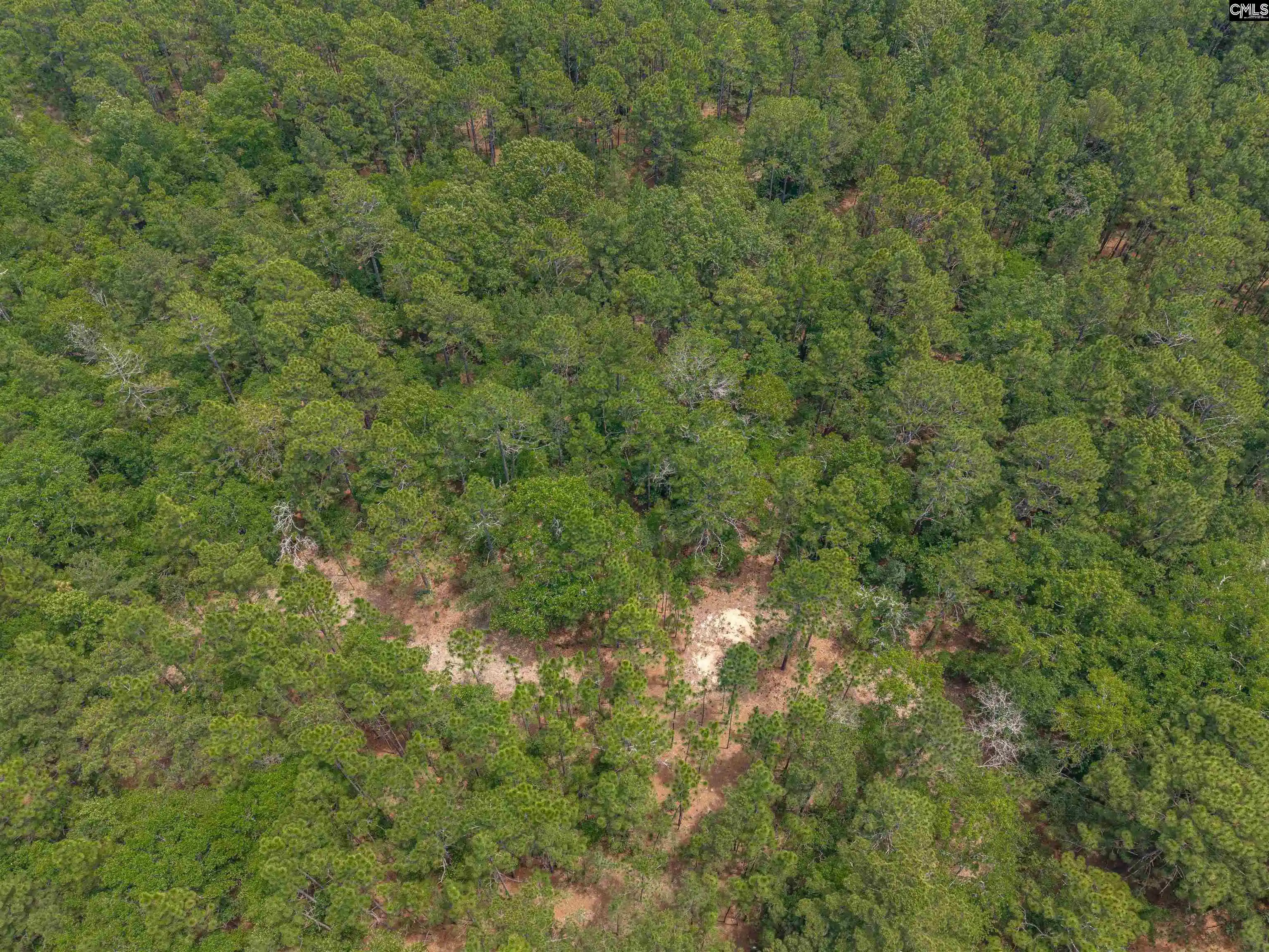 Photo 3 of Land for sale at 0 Woodtrail, Gaston, SC 29053 | MLS# 636293 | Listing updated on 2026-06-12