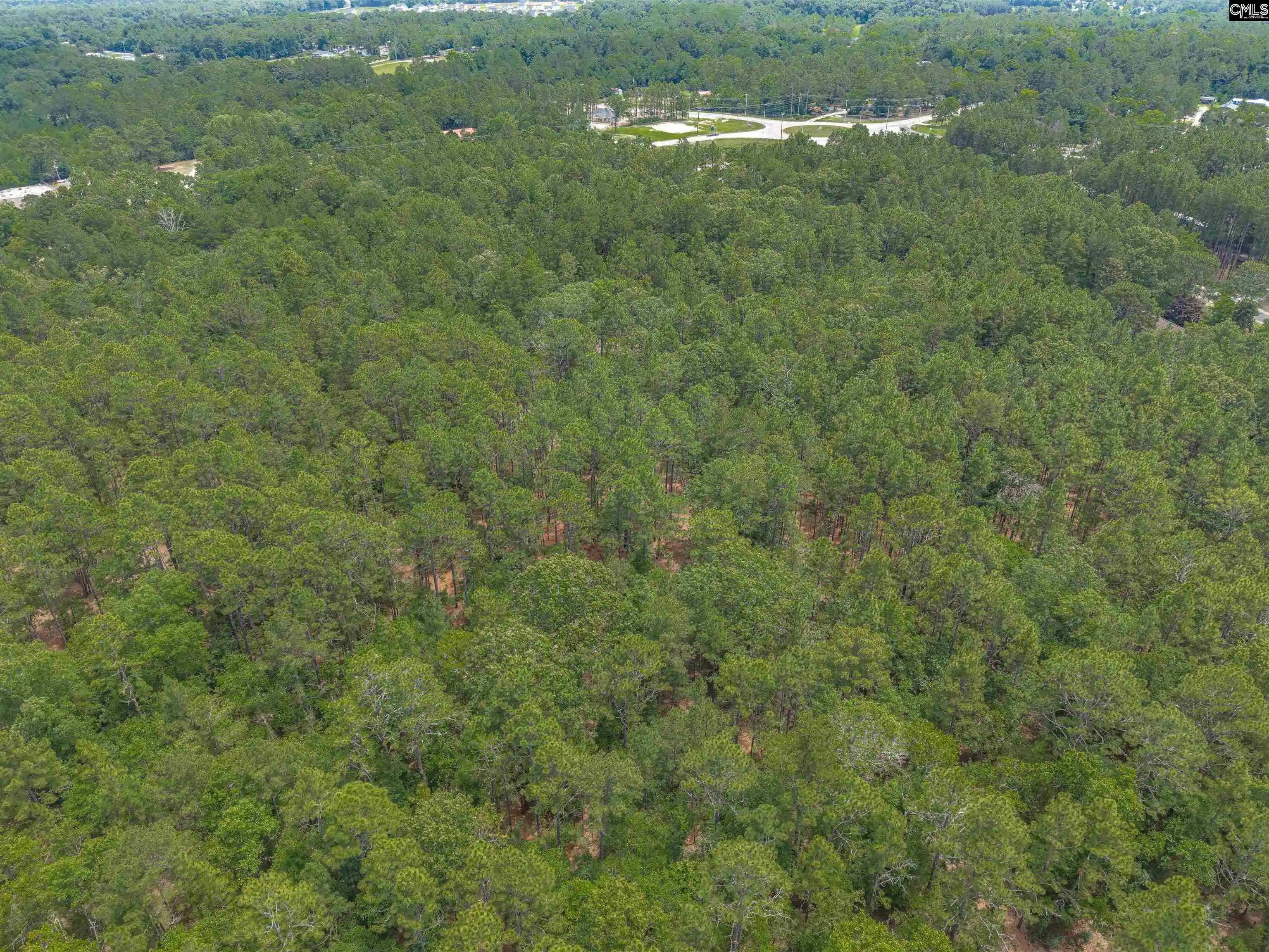 Photo 4 of Land for sale at 0 Woodtrail, Gaston, SC 29053 | MLS# 636293 | Listing updated on 2026-06-12