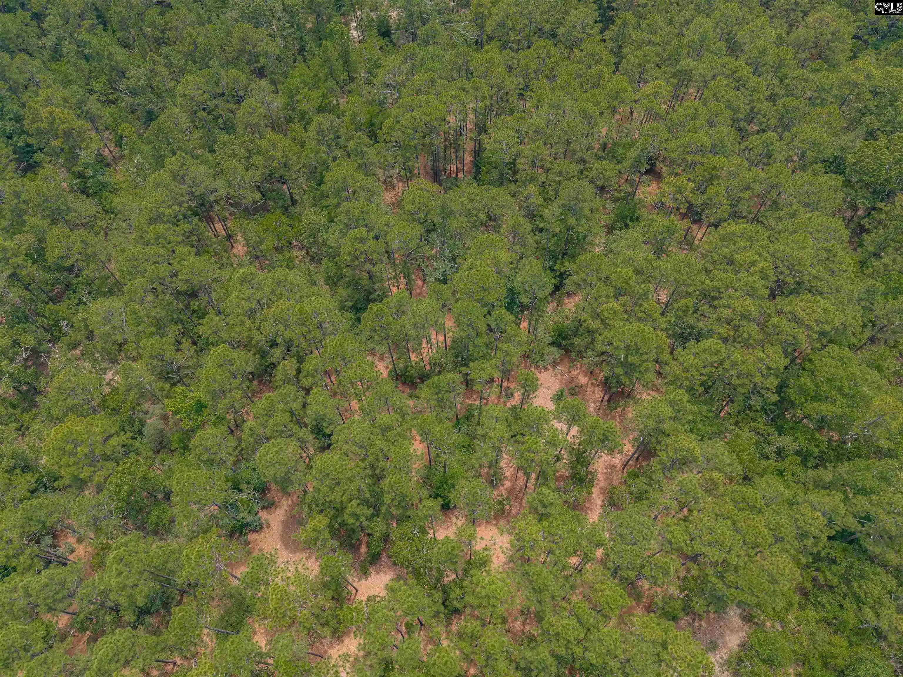 Photo 5 of Land for sale at 0 Woodtrail, Gaston, SC 29053 | MLS# 636293 | Listing updated on 2026-06-12