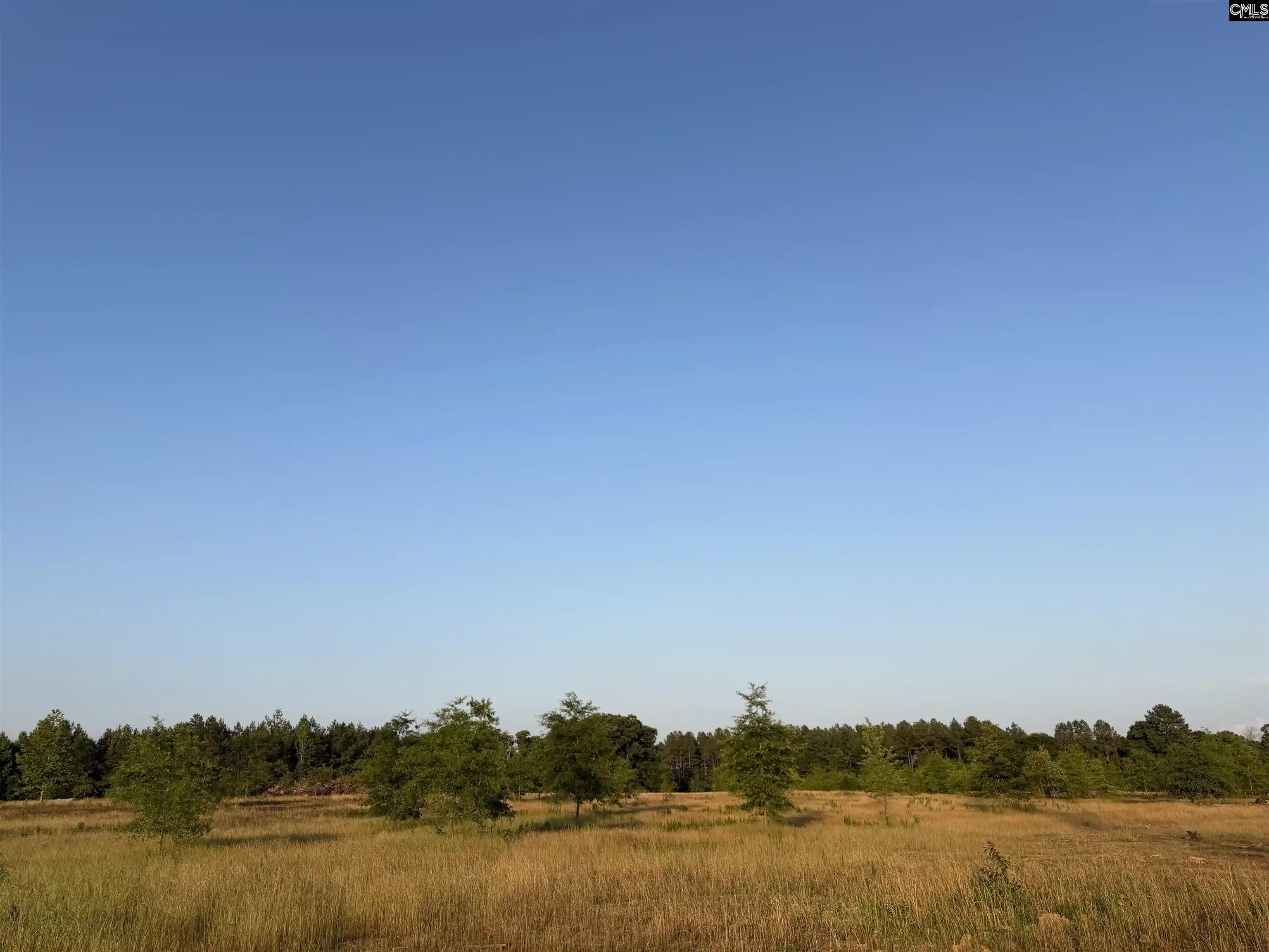 Photo 1 of Sale Pending at 000 Livingston, Pomaria, SC 29126 | MLS# 636299 | Listing updated on 2026-06-19