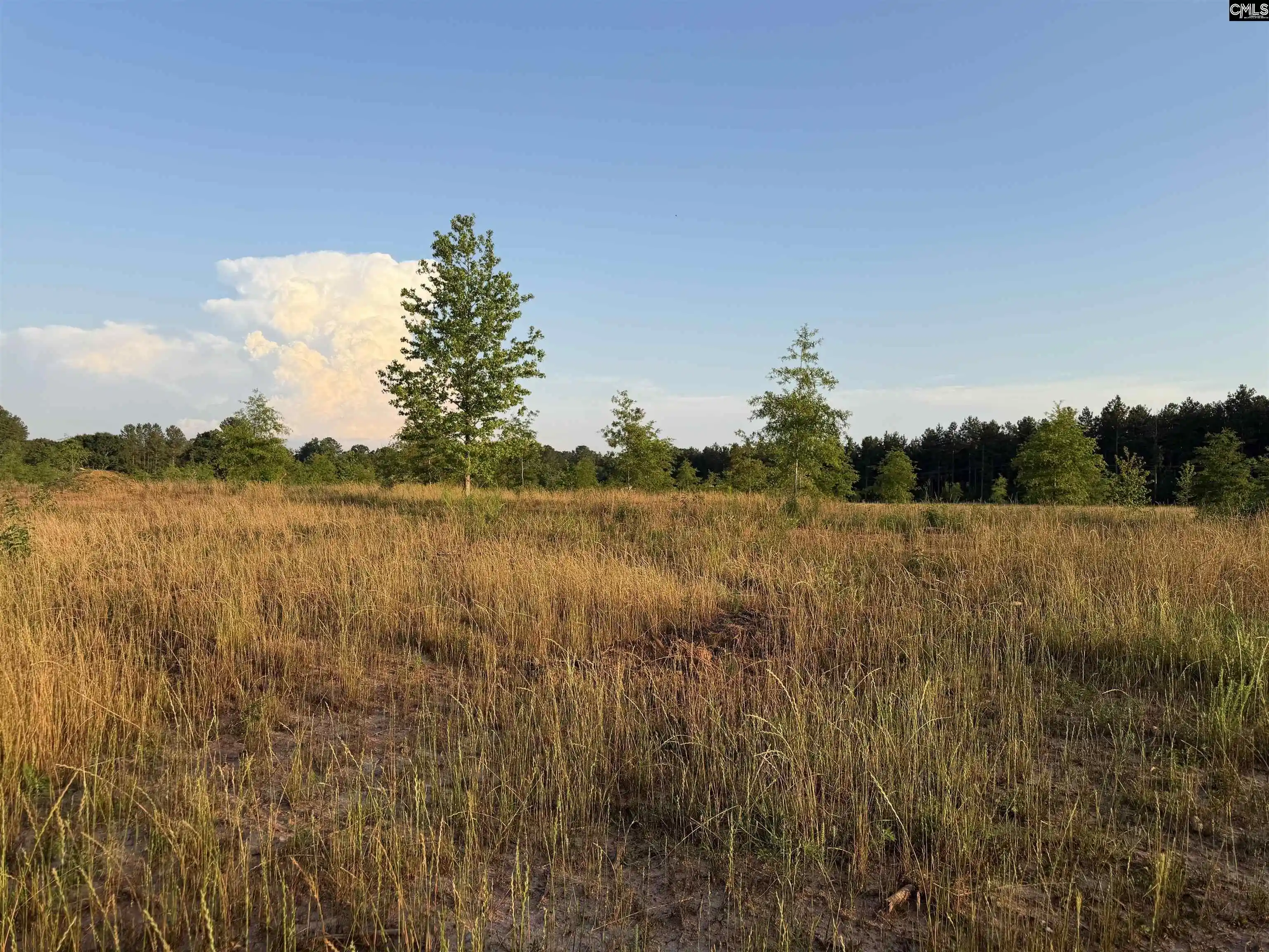 Photo 3 of Sale Pending at 000 Livingston, Pomaria, SC 29126 | MLS# 636299 | Listing updated on 2026-06-19
