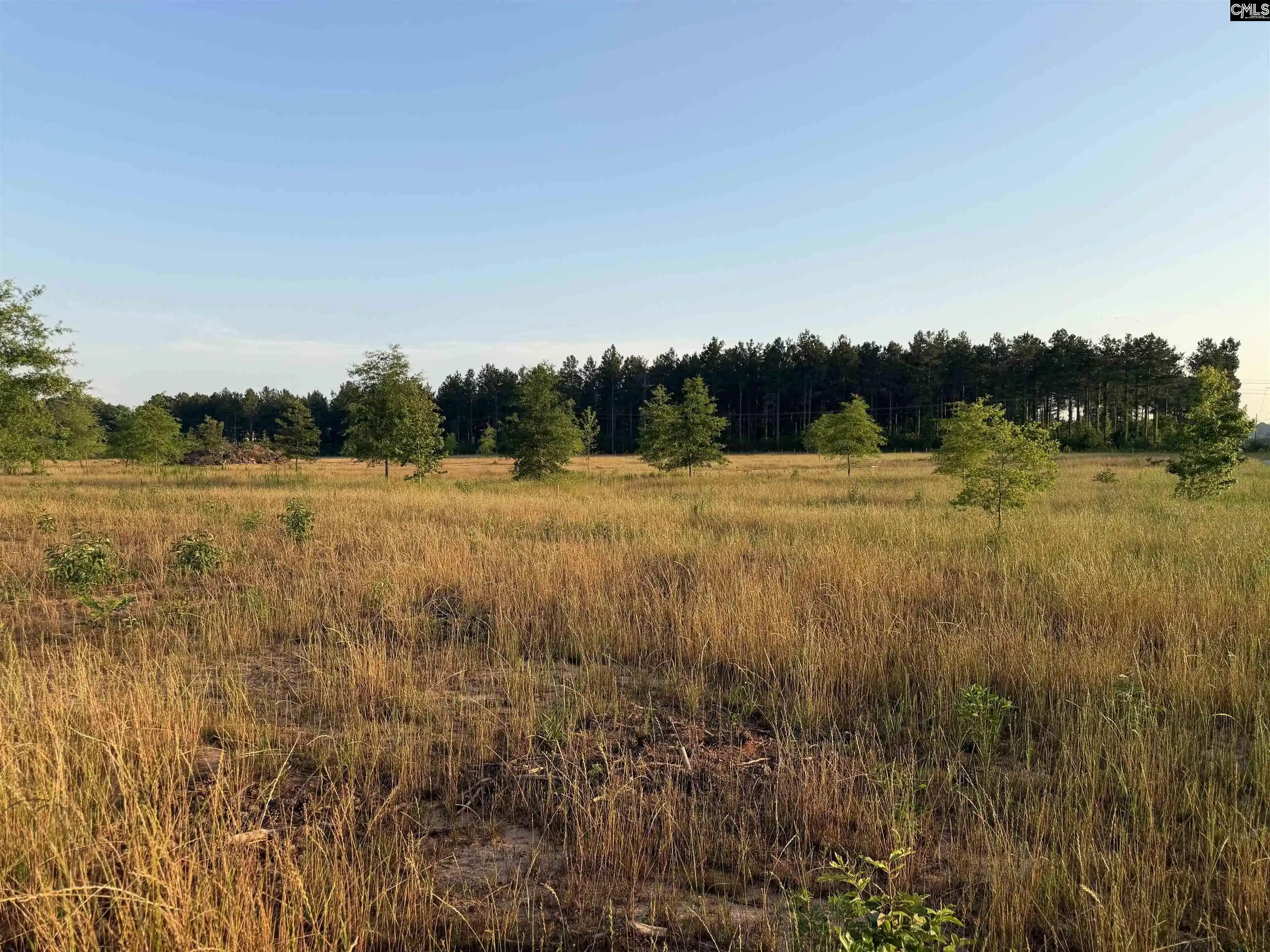 Photo 4 of Sale Pending at 000 Livingston, Pomaria, SC 29126 | MLS# 636299 | Listing updated on 2026-06-19