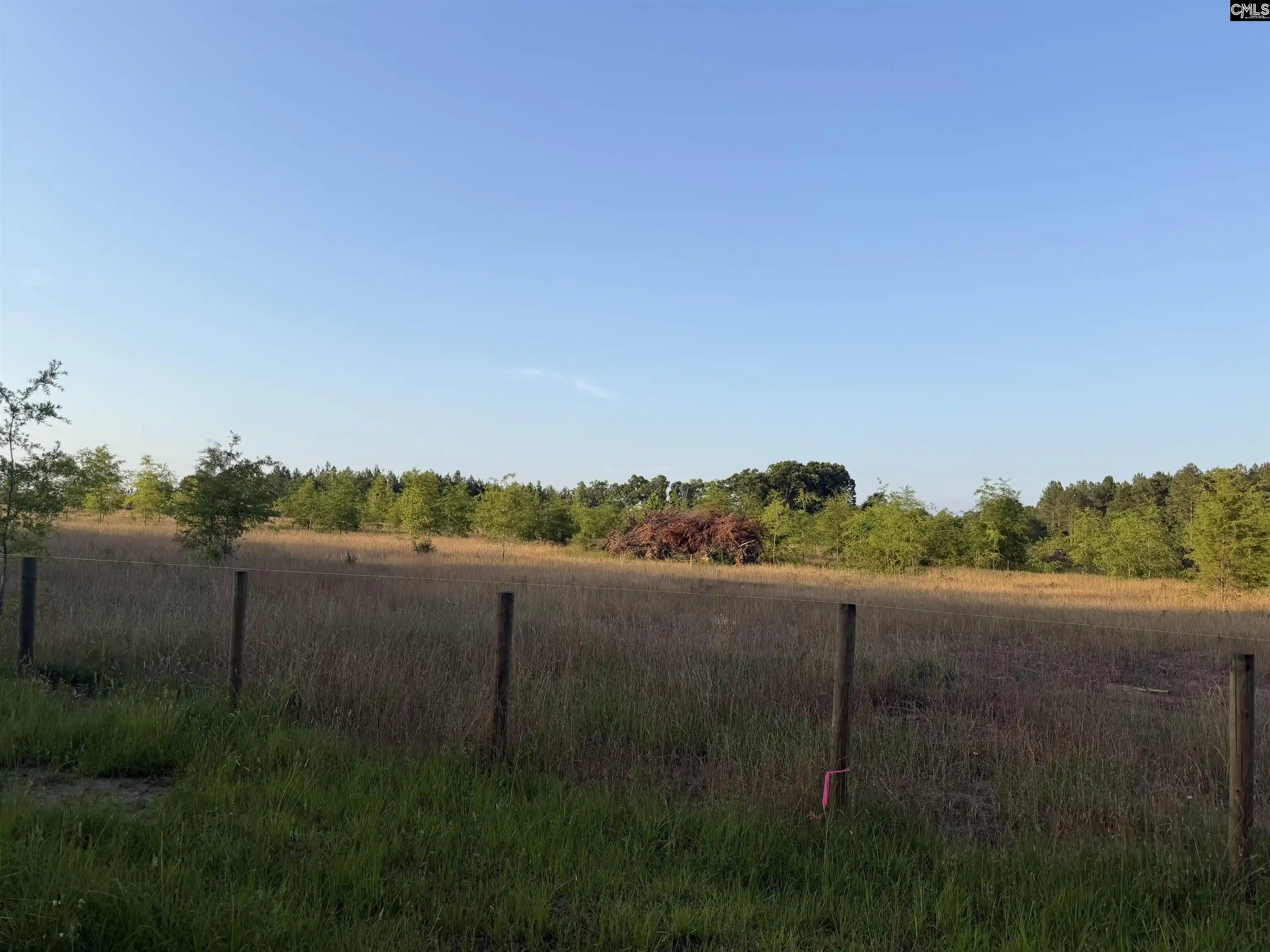 Photo 5 of Sale Pending at 000 Livingston, Pomaria, SC 29126 | MLS# 636299 | Listing updated on 2026-06-19