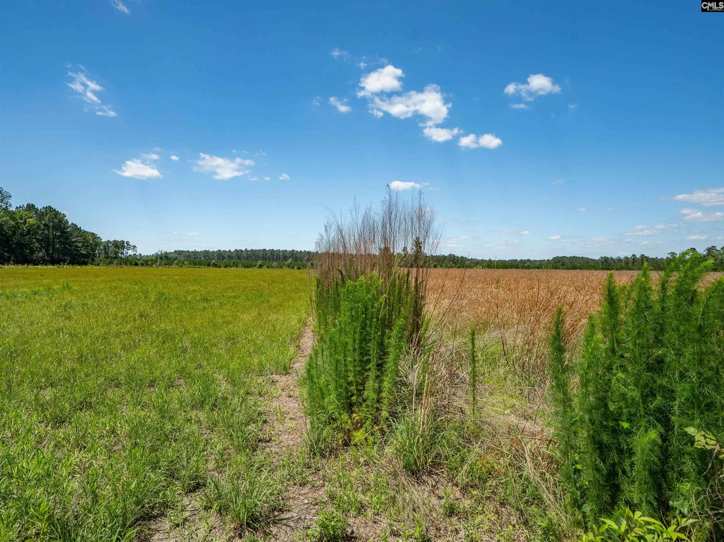 Homes for sale in Hemingway, SC | 0000 Williams Hill #1, Hemingway, SC 29954 | MLS# 636330