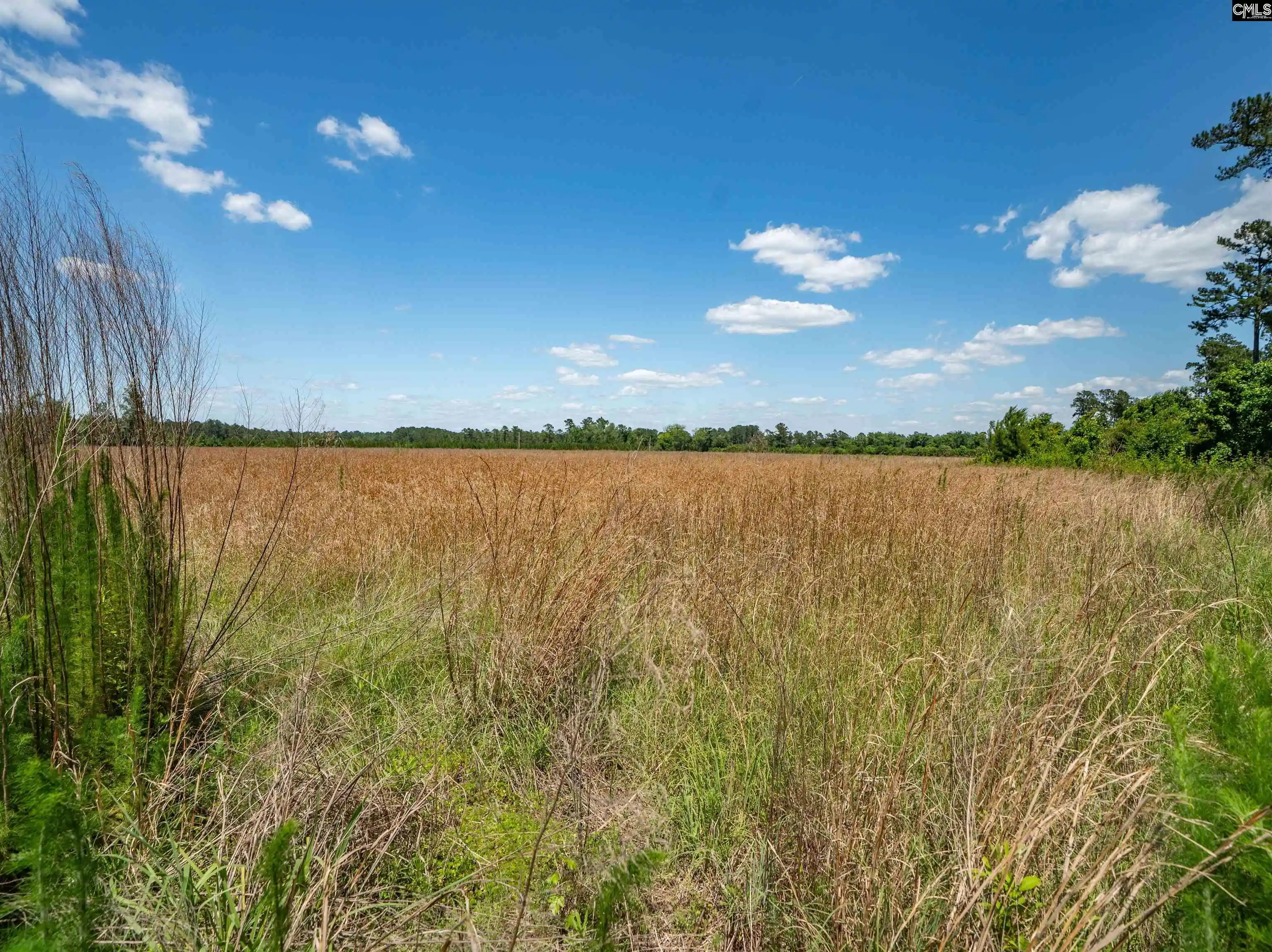 Homes for sale in Hemingway, SC | 0000 Williams Hill #1, Hemingway, SC 29954 | MLS# 636330