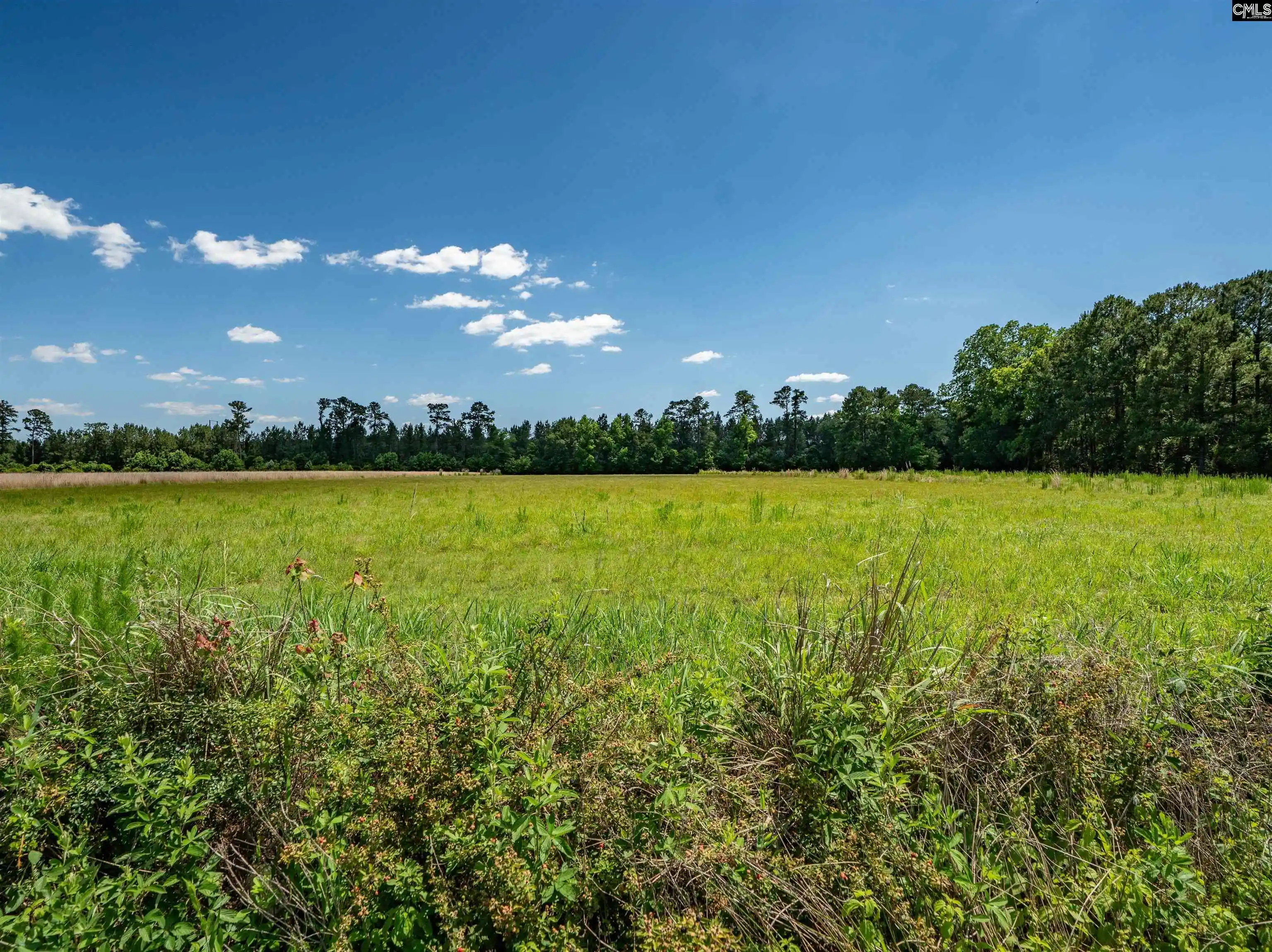 Homes for sale in Hemingway, SC | 0000 Williams Hill #1, Hemingway, SC 29954 | MLS# 636330