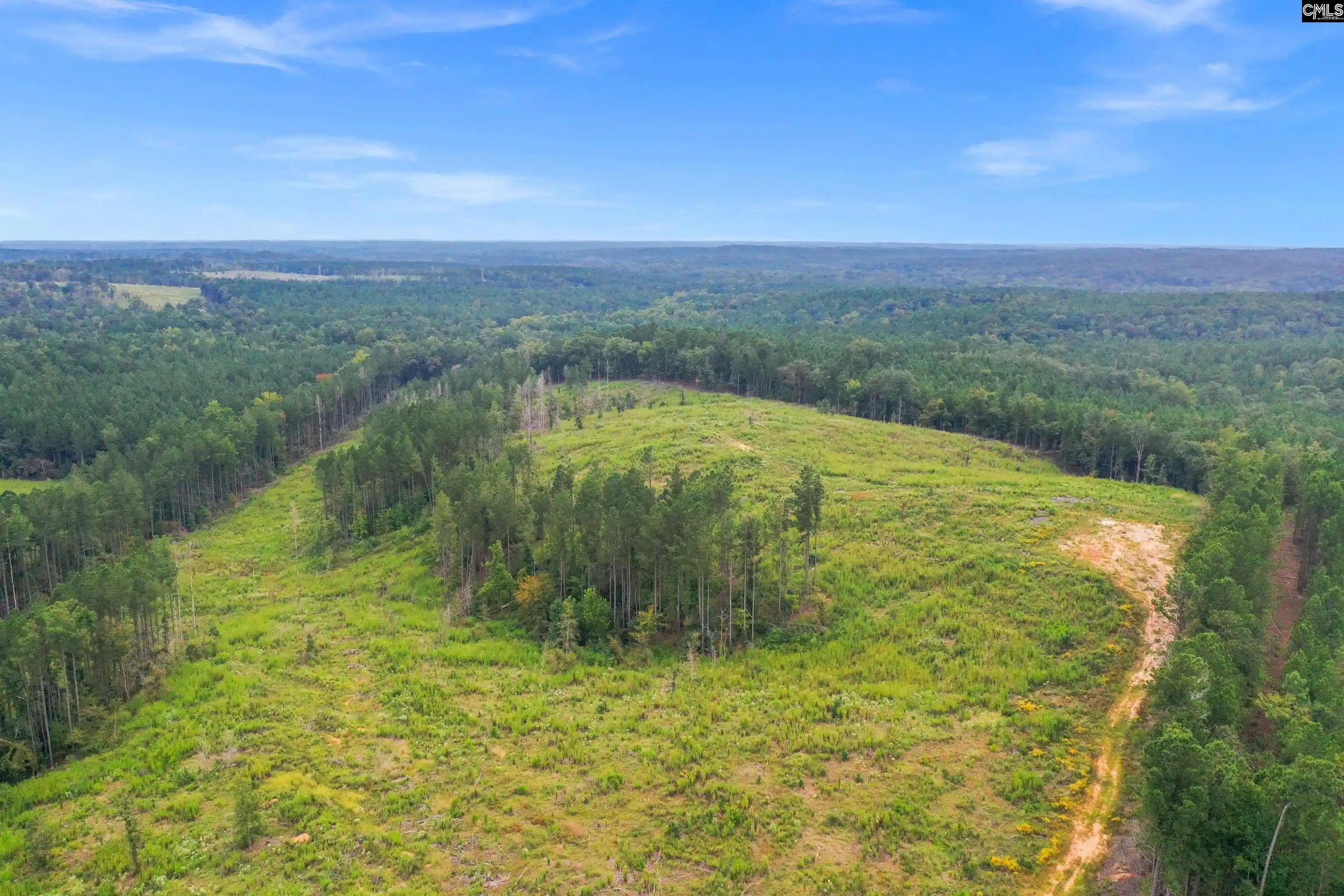 Homes for sale in Jenkinsville, SC | 0000 Penner Rd #10, Jenkinsville, SC 29065 | MLS# 636331
